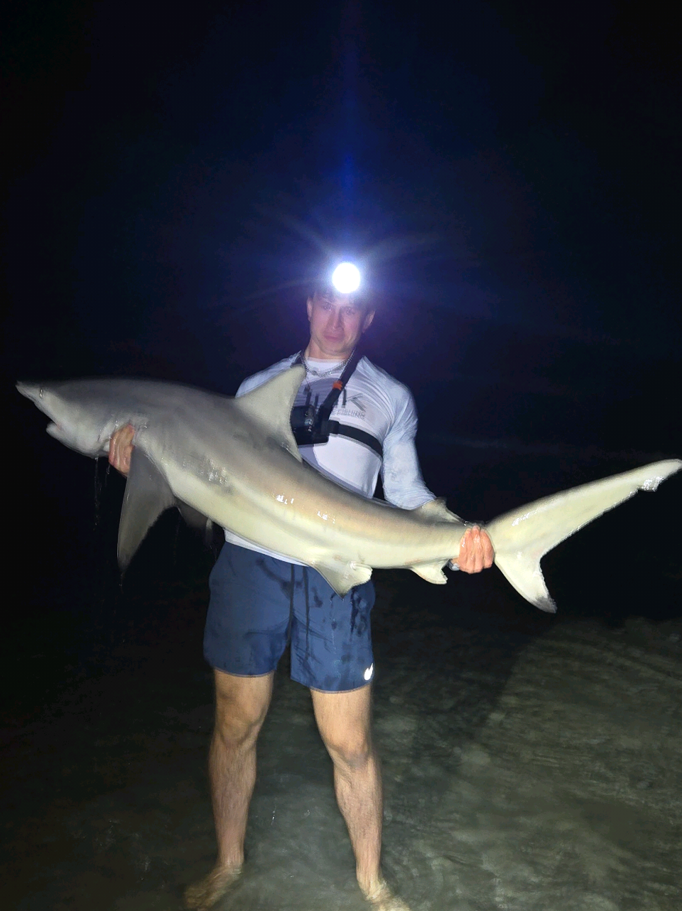 @ILM Shark Club