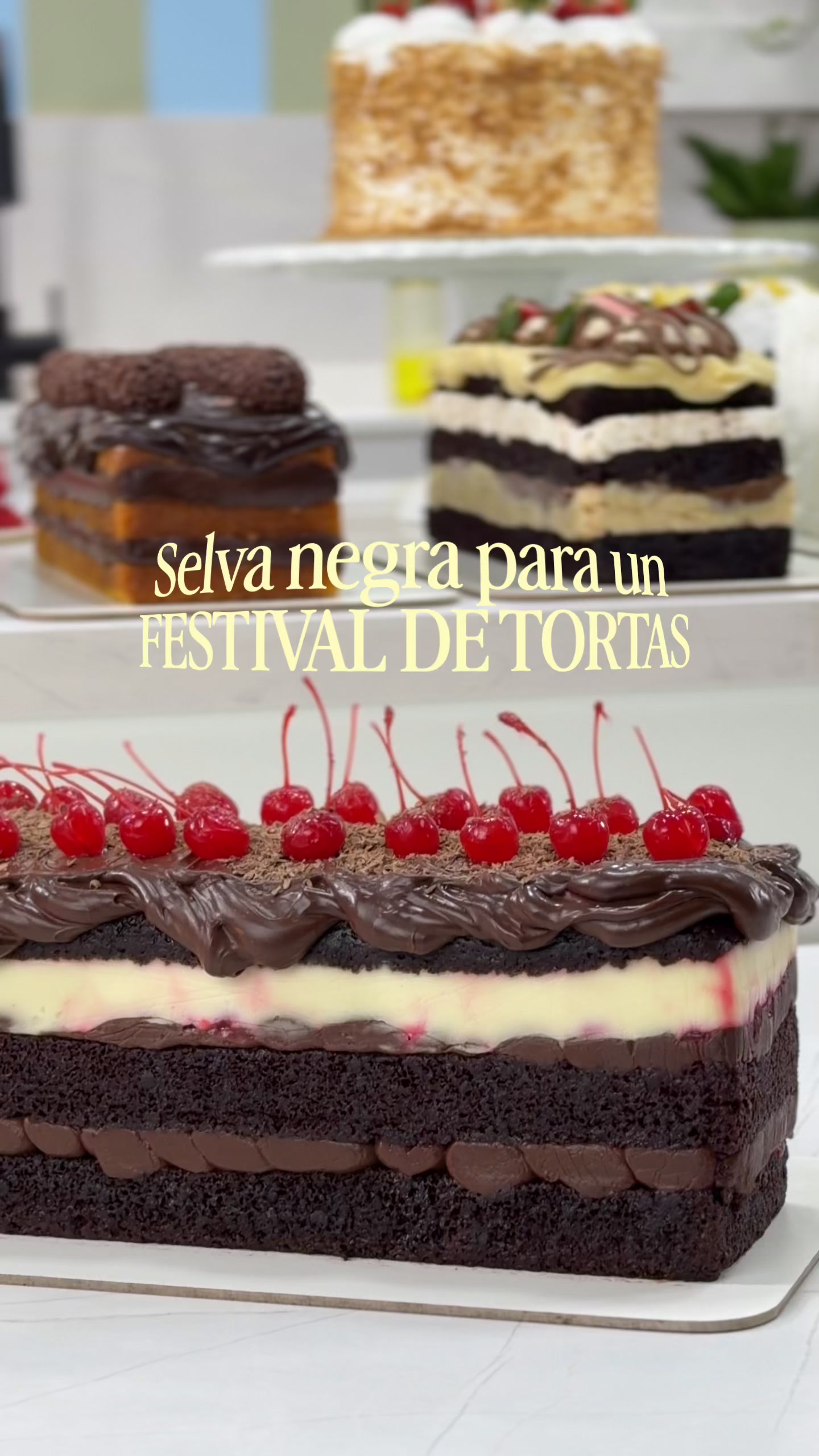 @Carina Lovera Repostera G