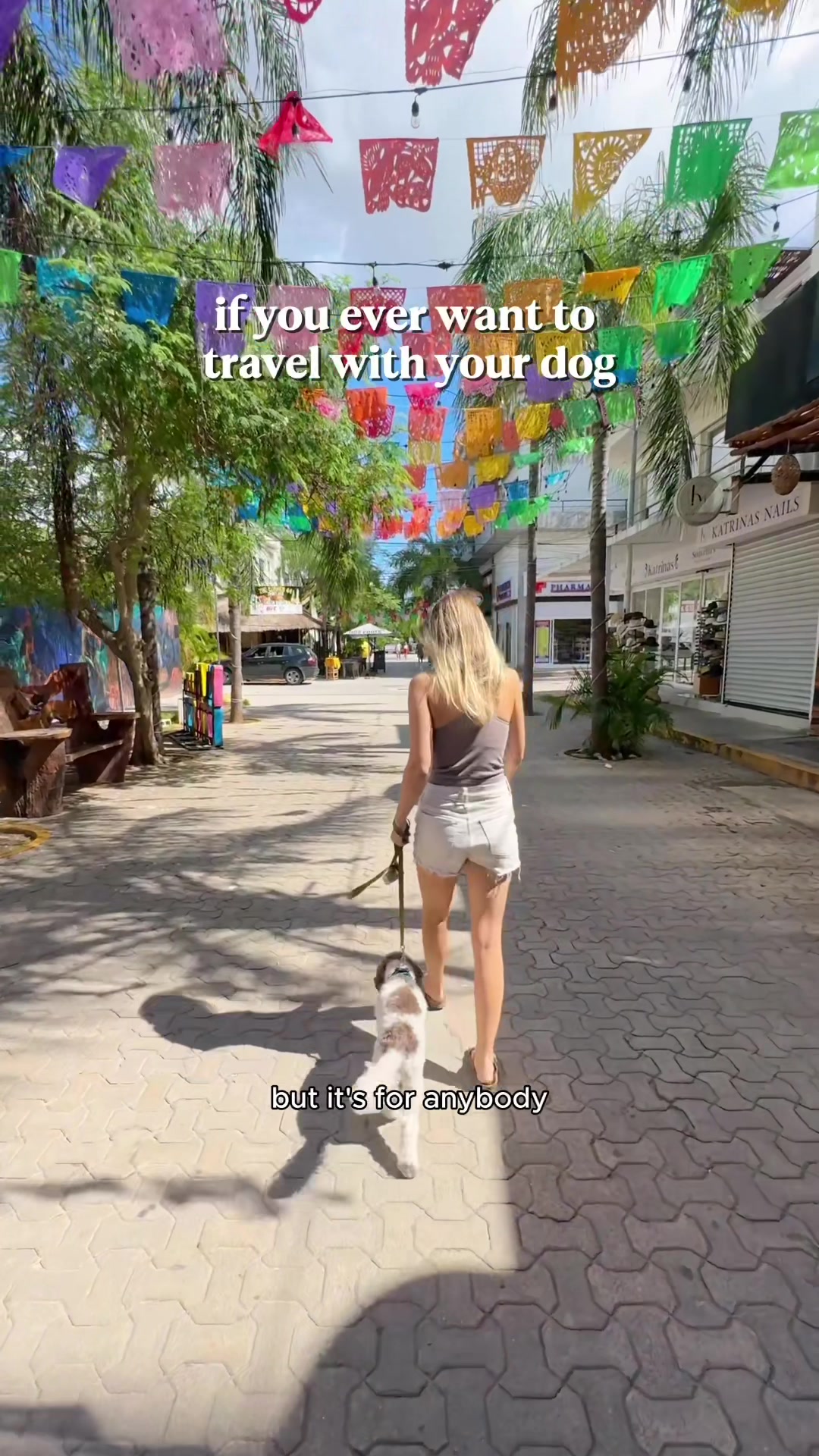 @Amanda Monique