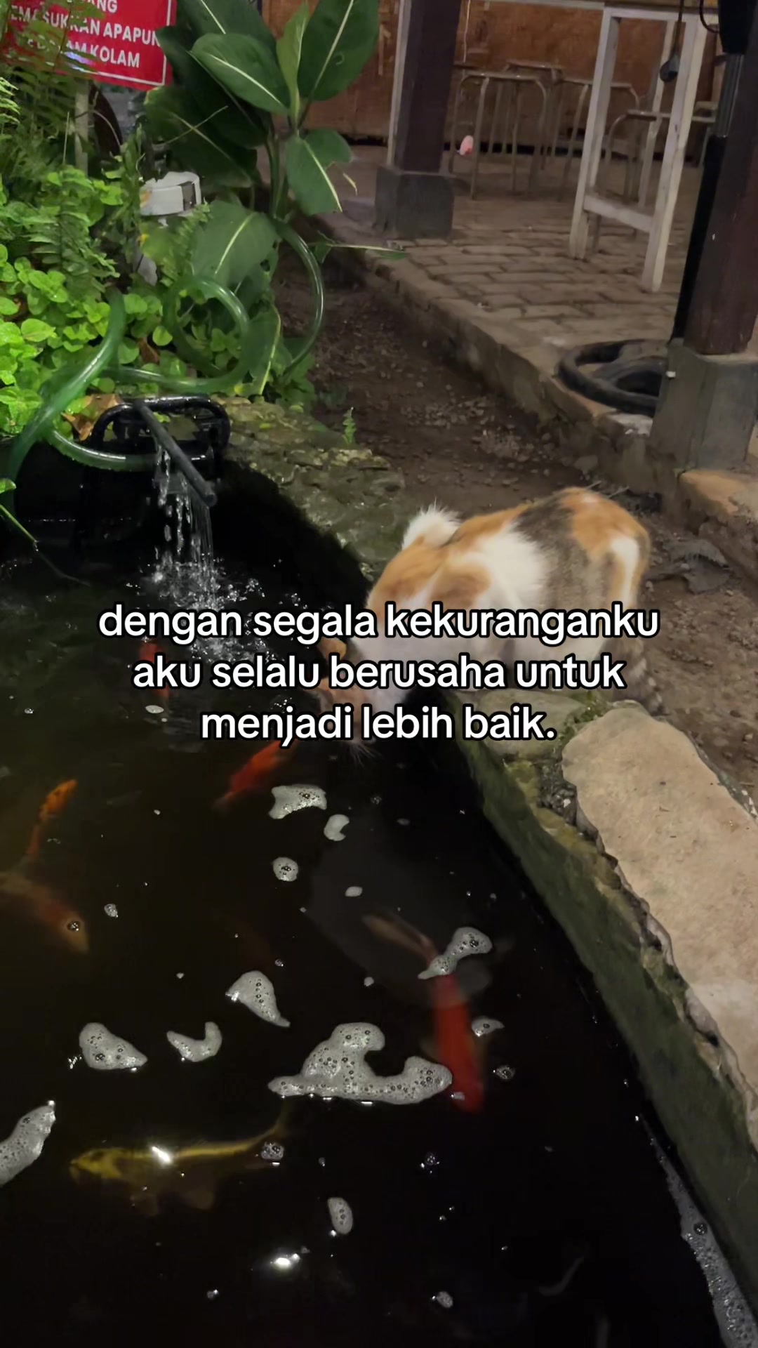 @enamapril🥀