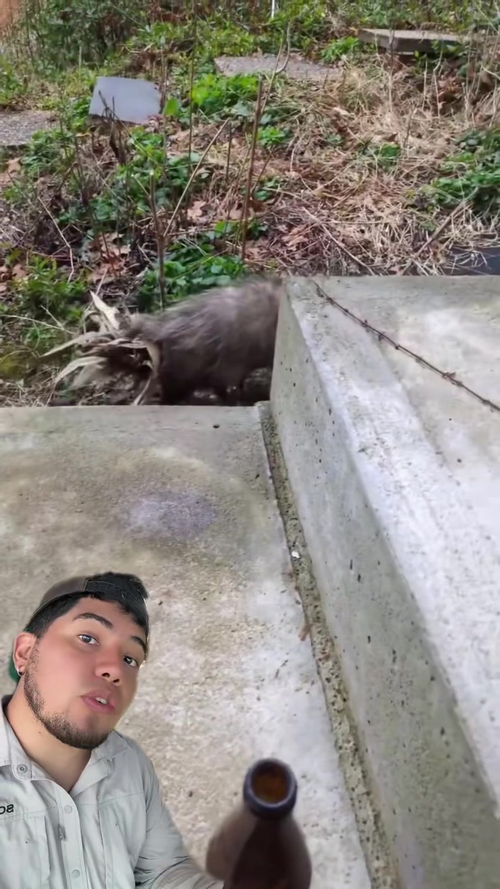 @Soy Sebassalvaje (dúos)