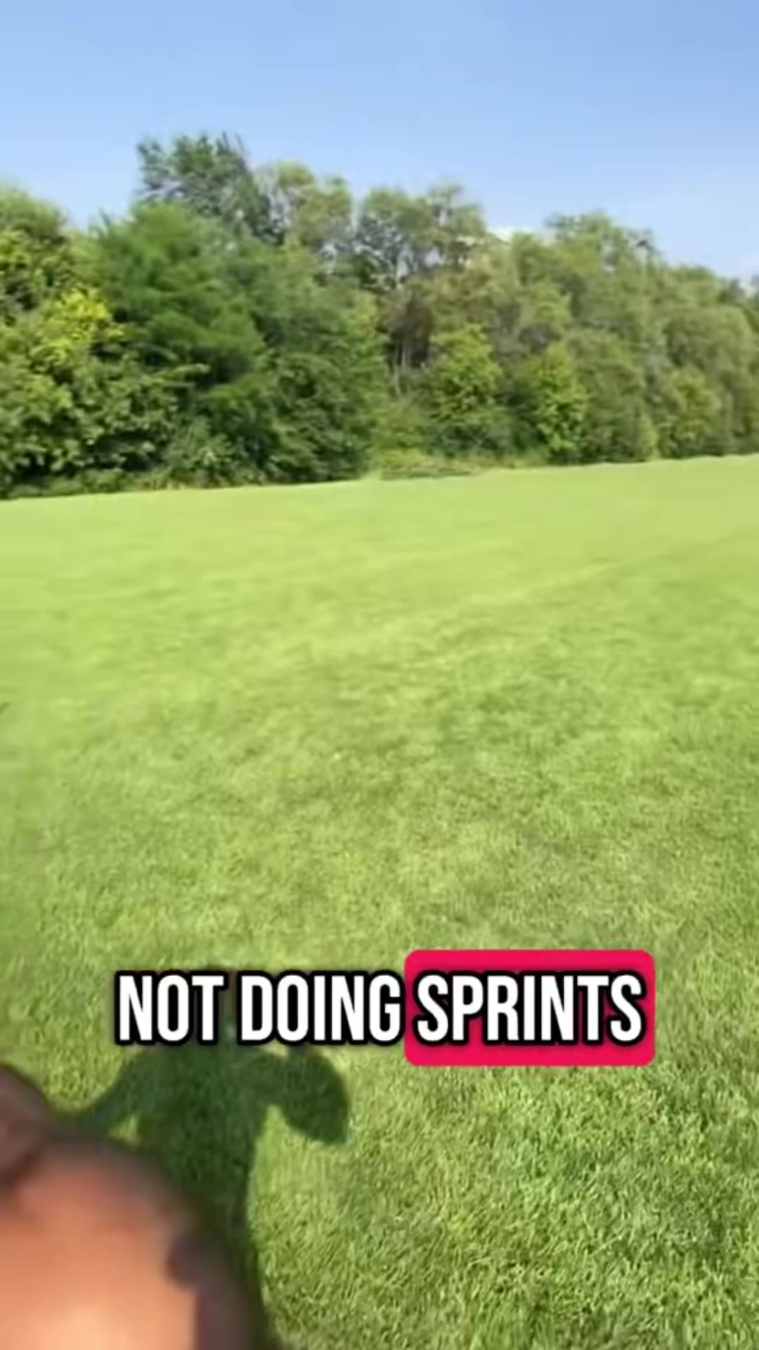 @David