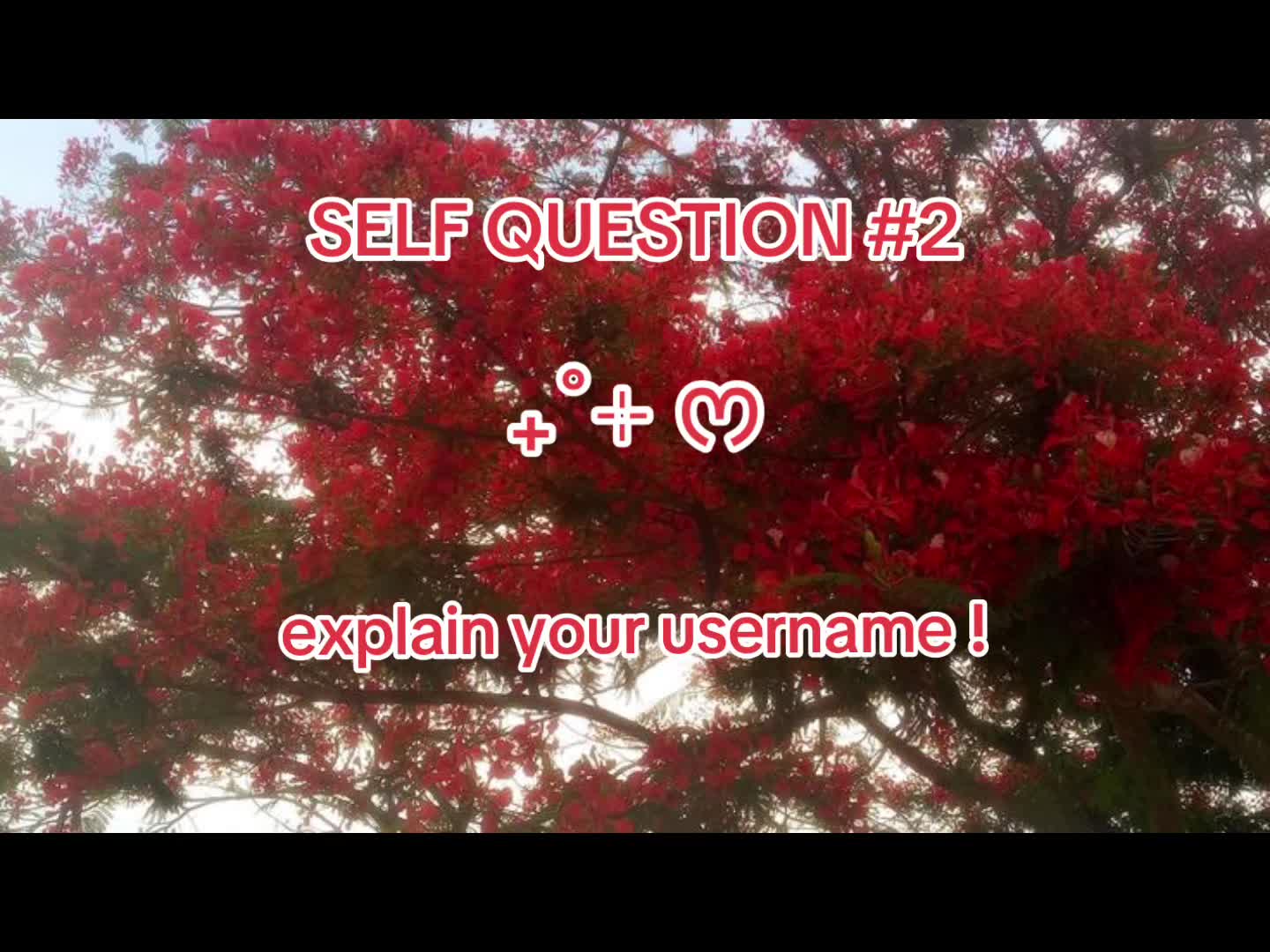 @𝐬𝐞𝐨𝐥🪽་༘ ་࿐