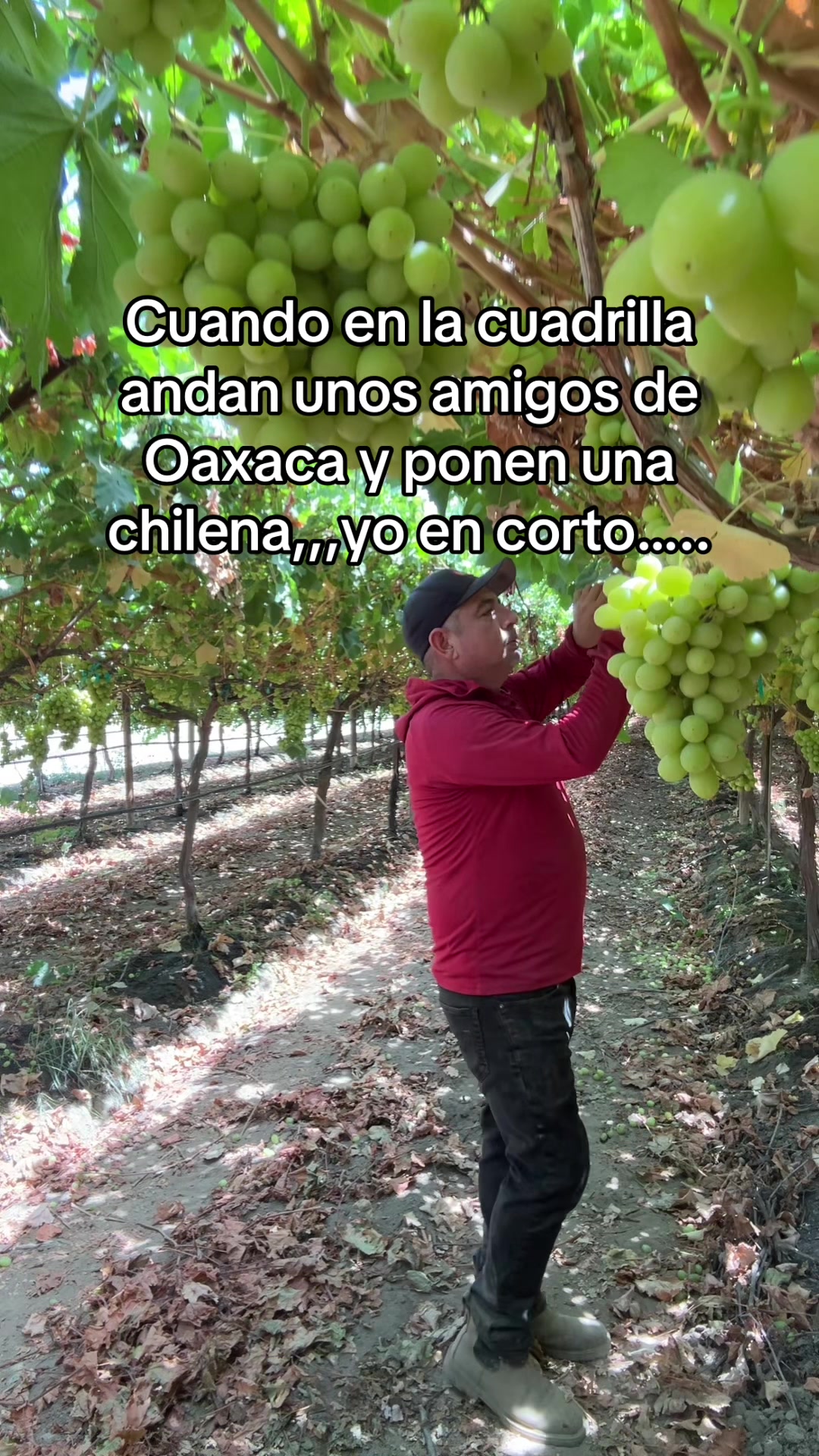 @Gustavo