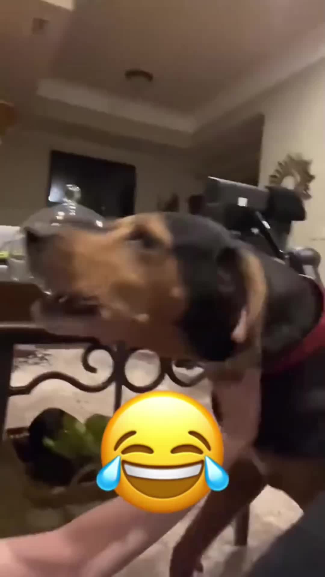 @Linkin.Rod.🛡️