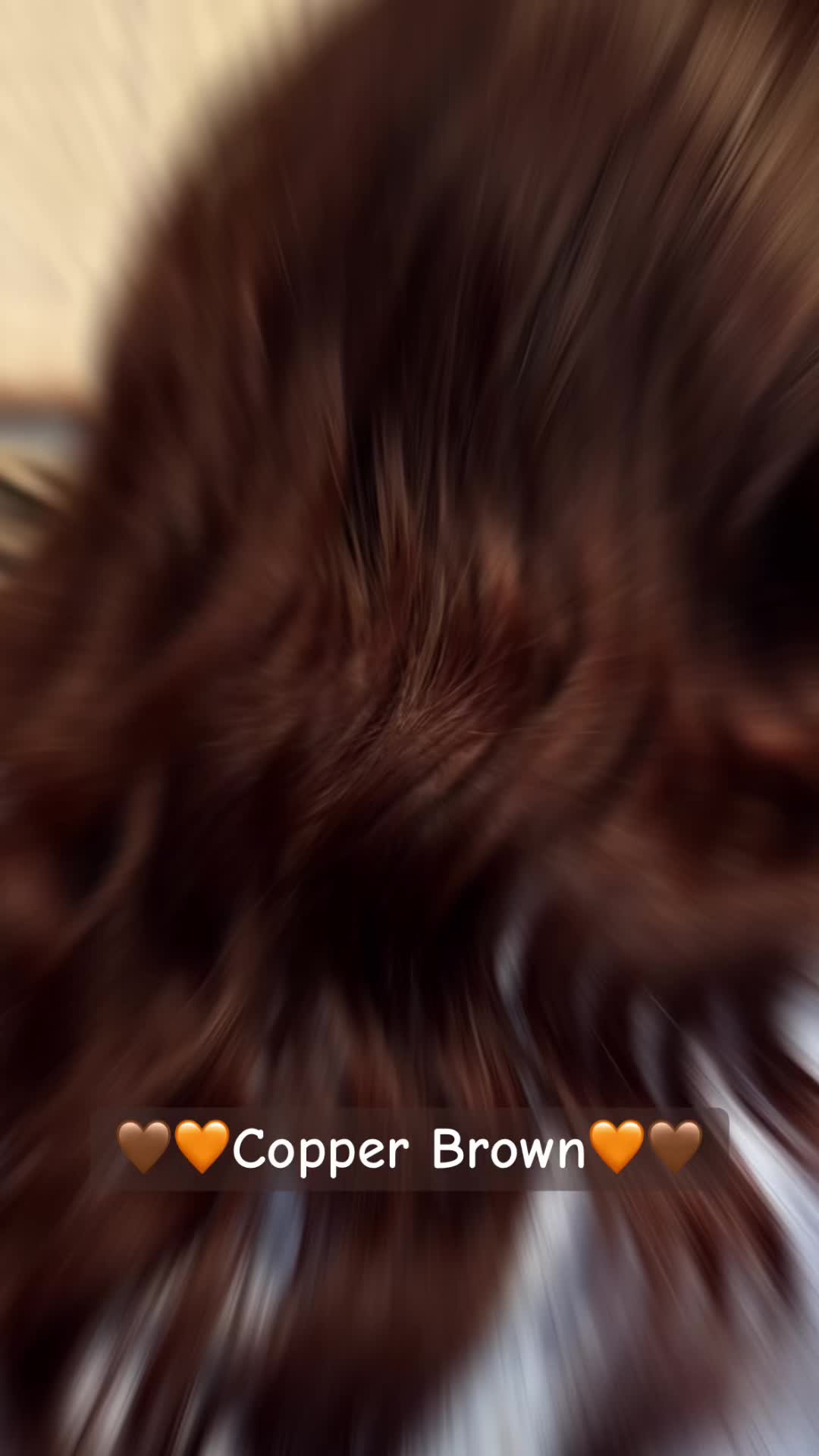 @literallyjustamom3
