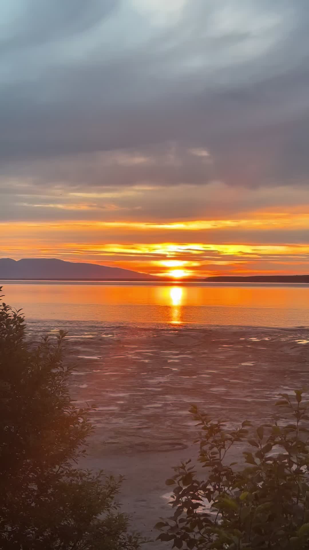 @Kayak_AK