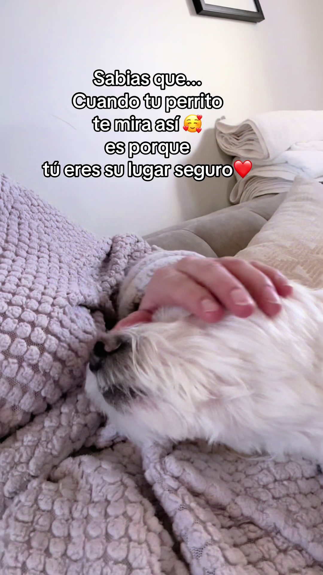@💜Leo mi hijo de 4🐾🥰💜