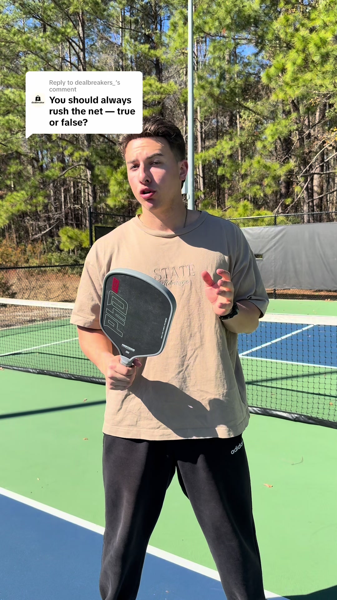 @Professor Pickleball