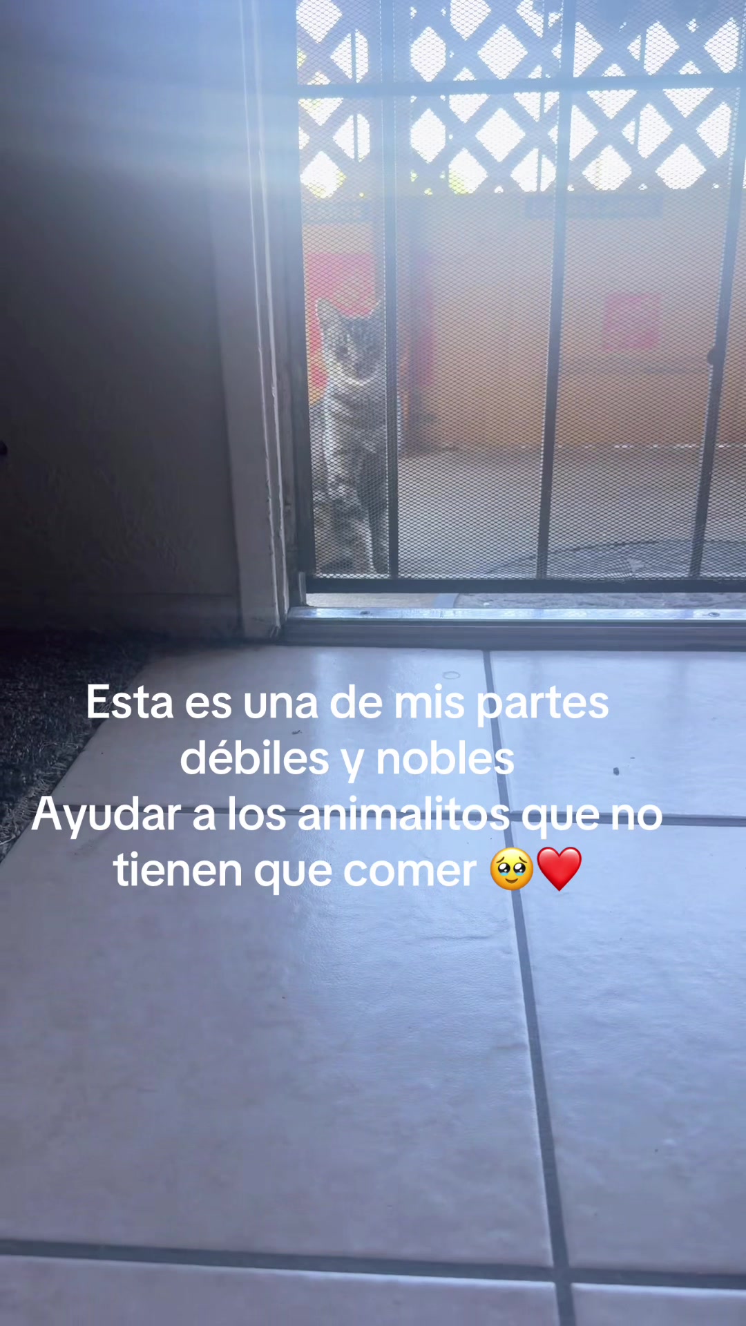 @Rosalba Rios Cortez