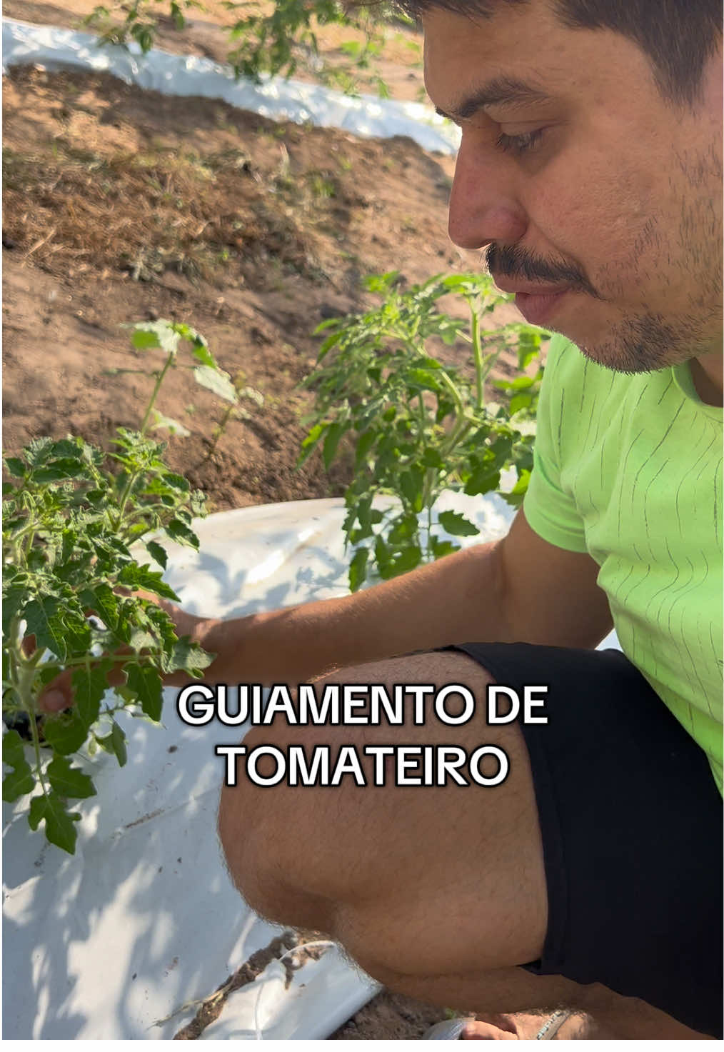 @souza