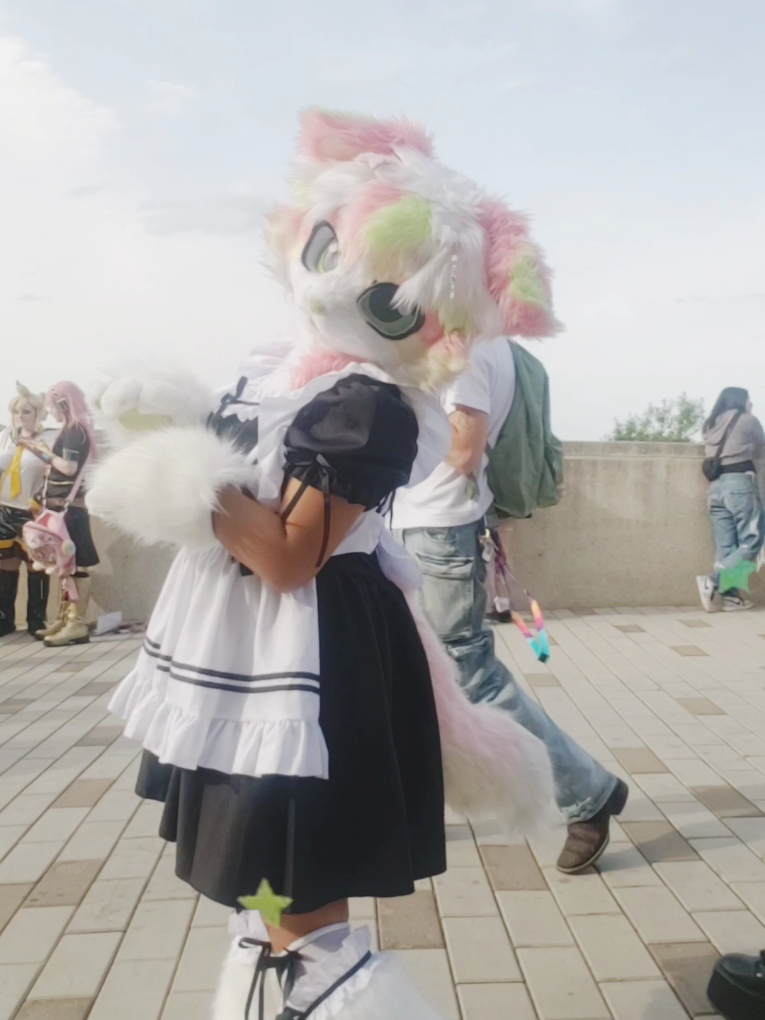@◇Pawrista♡