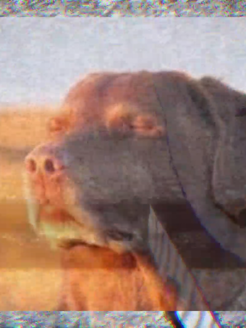 @Fîřëfłỳ§ Șævịœûṛ
