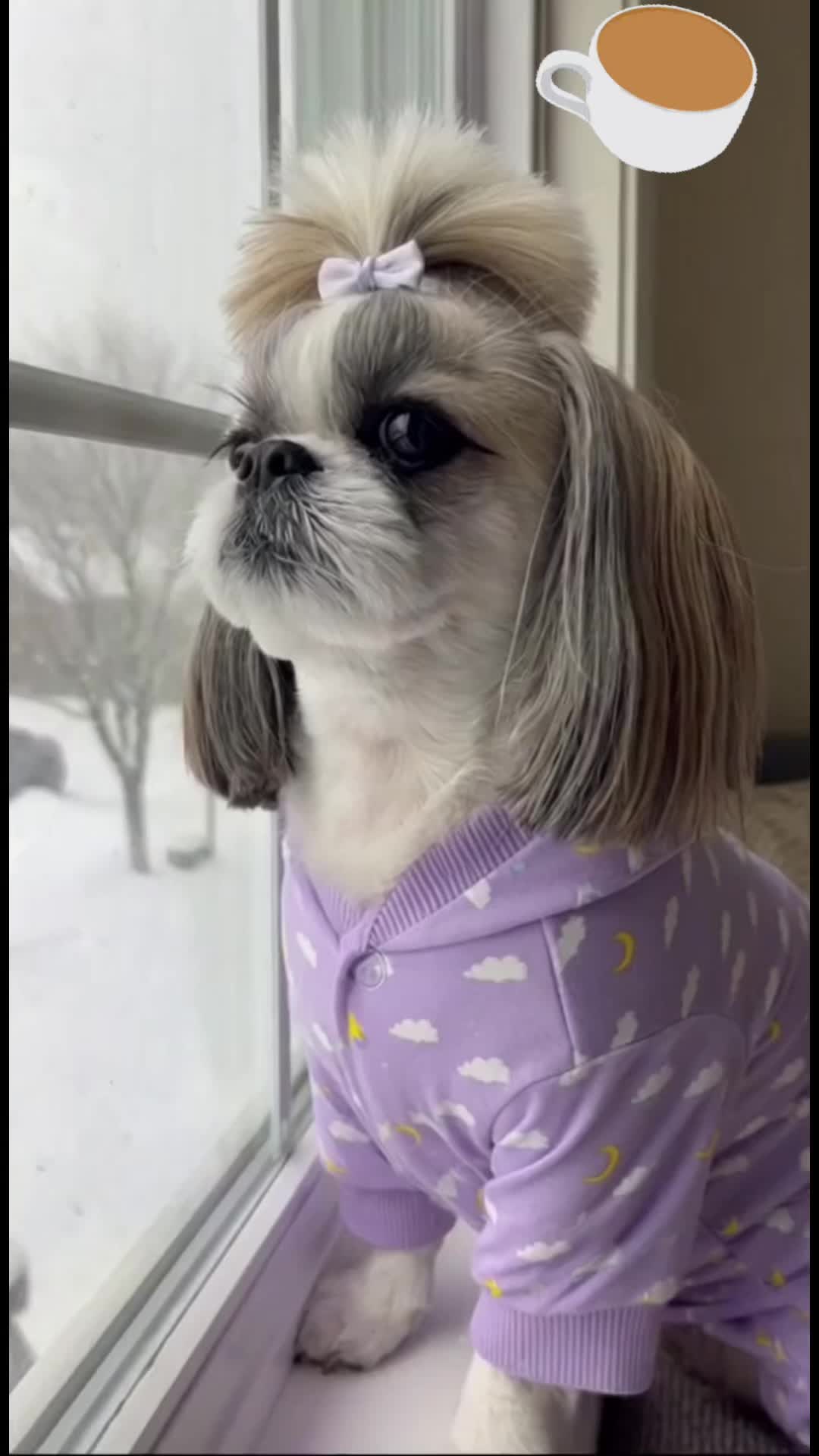 @LEXI💕MOM LENA💕GEN❌-G7