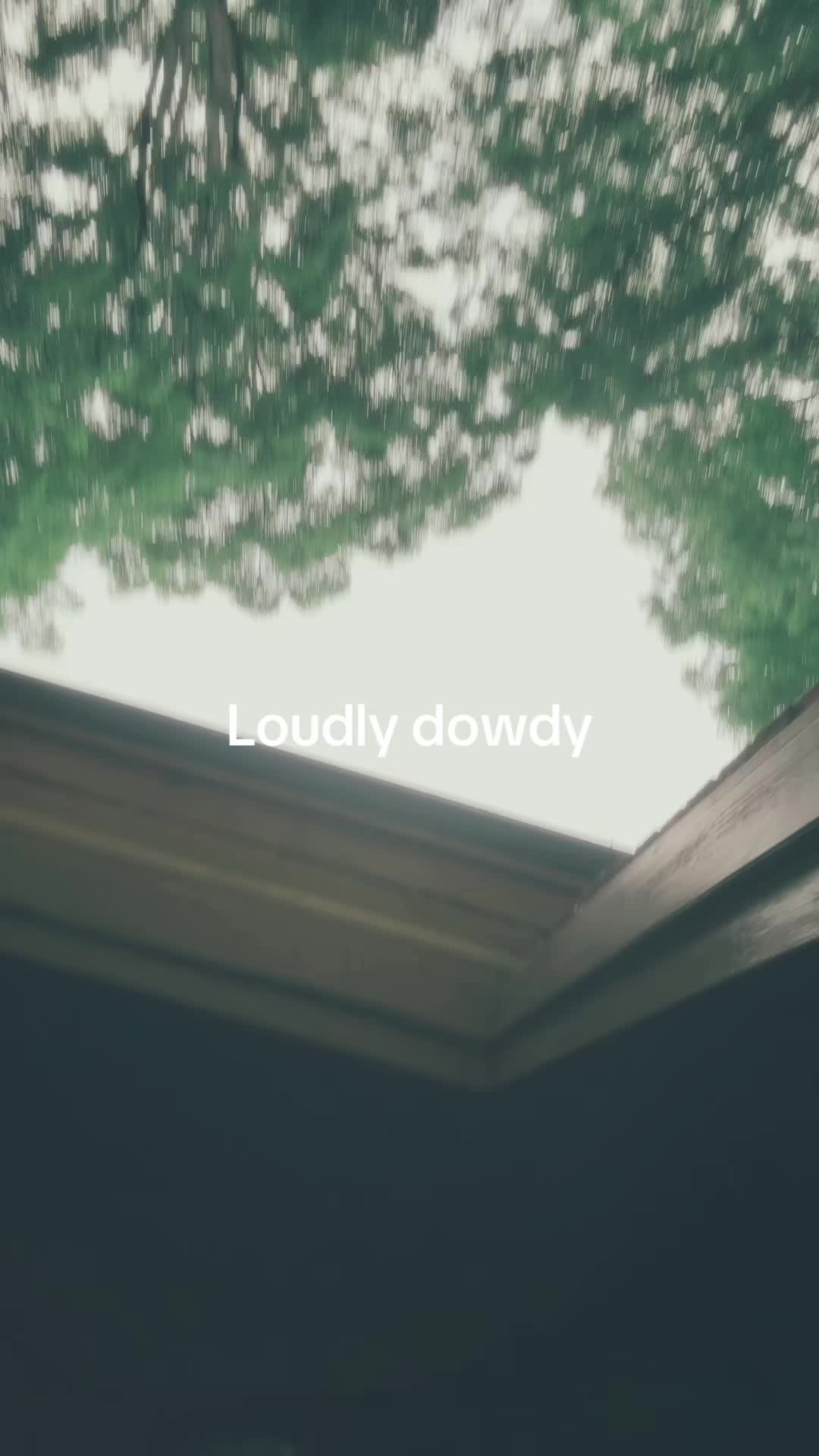 @todd_thatperson