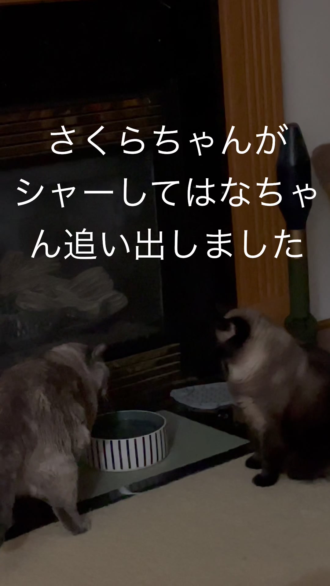 @sakurahana016