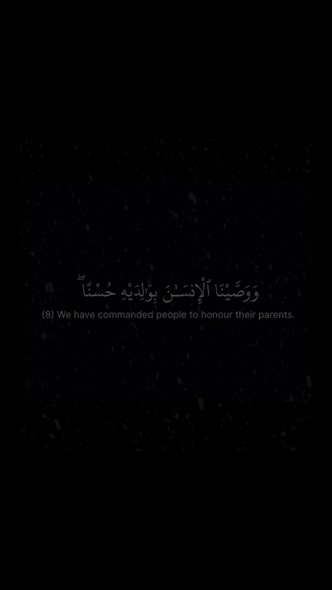 @Quran reciters