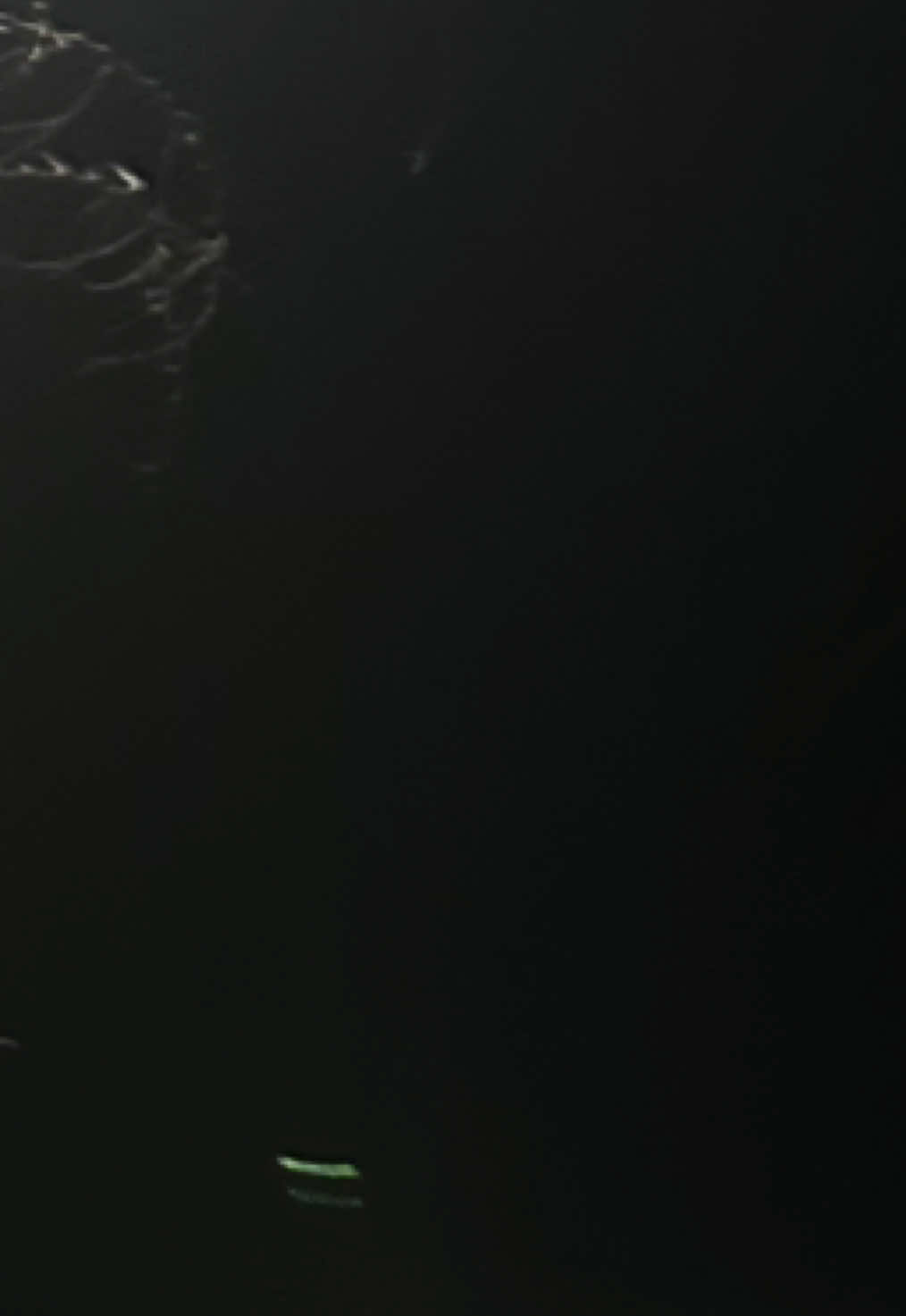@~ɐqıH~