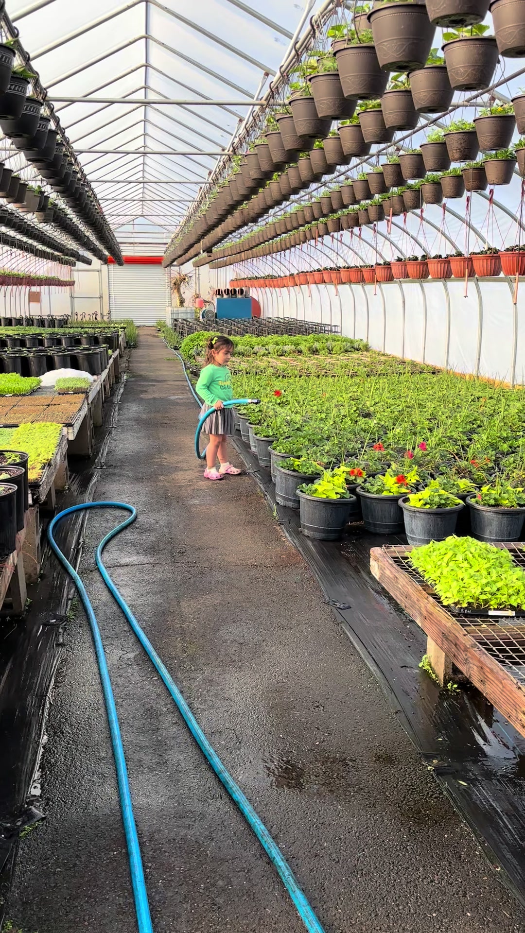 @JC Farm - Durham, CT