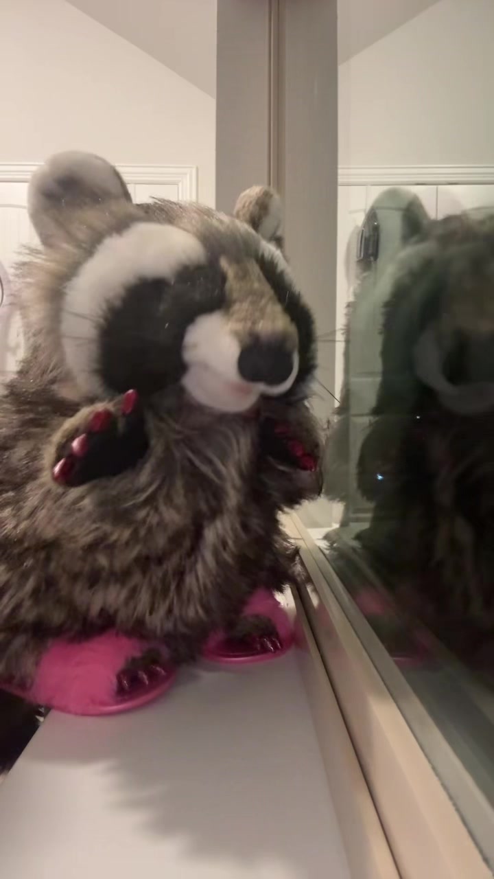 @Cookie 🍪 🦝