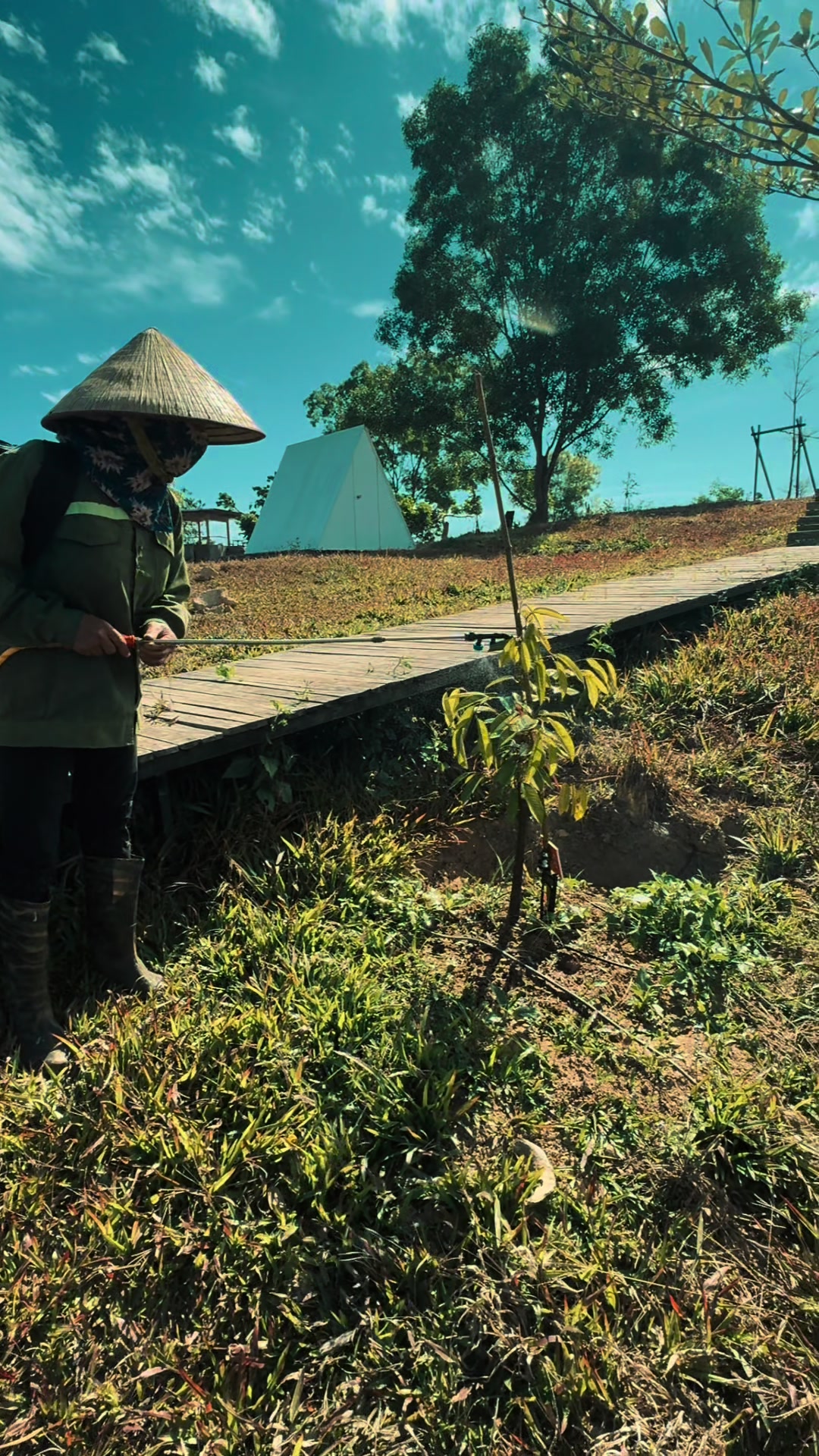@Canary Hill Vietnam