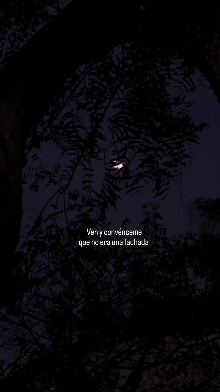 @GianSanchezF