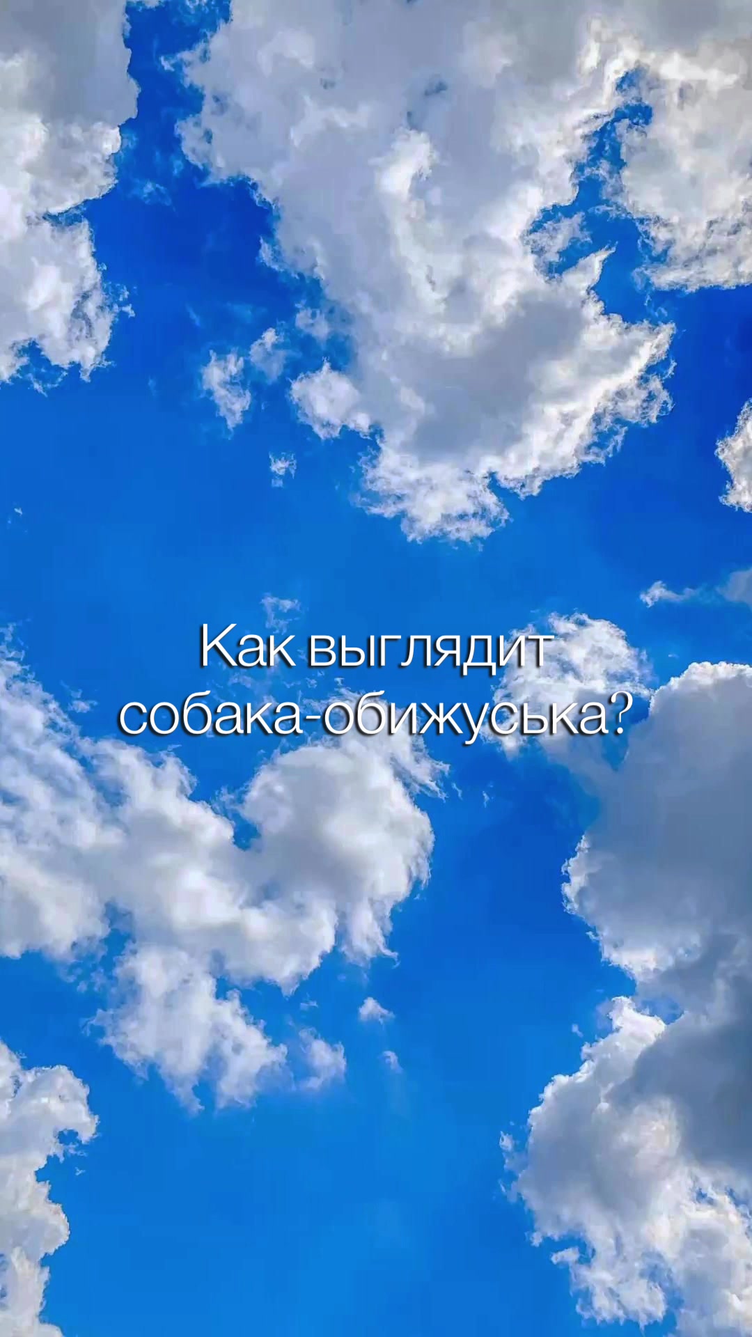 @Vlada & Santos