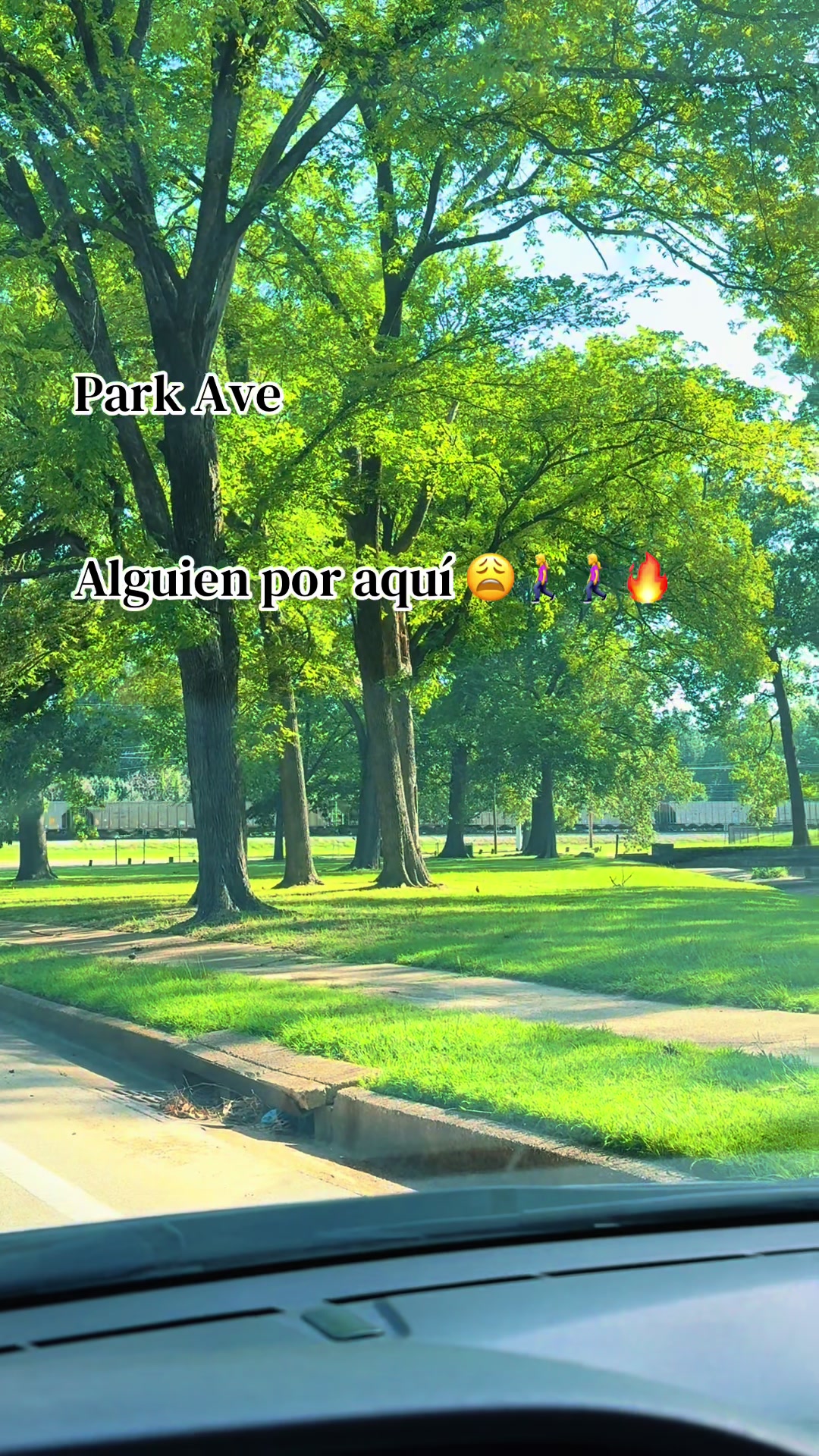 @🦋🦖LETTY🤠🪗