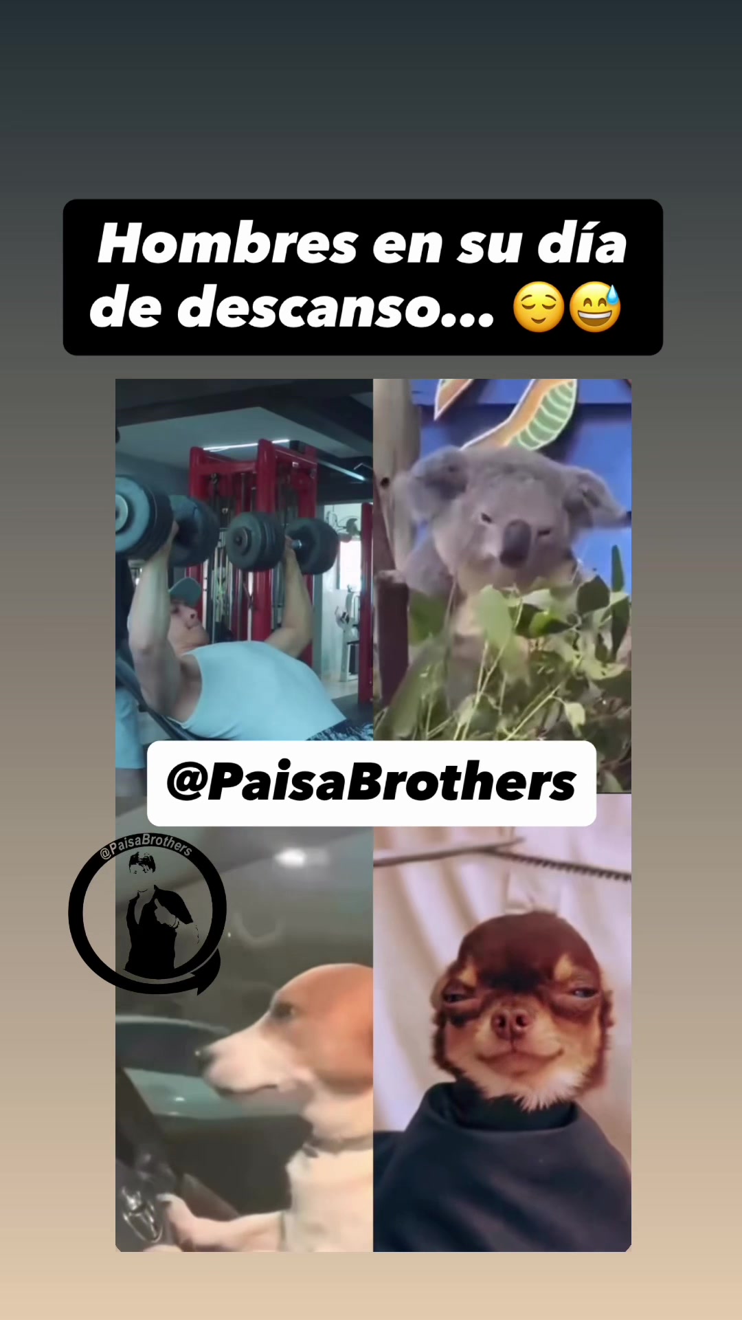 @PaisaBrothers