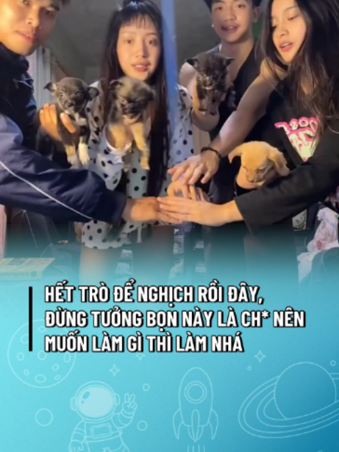 @GENZ DU HÀNH