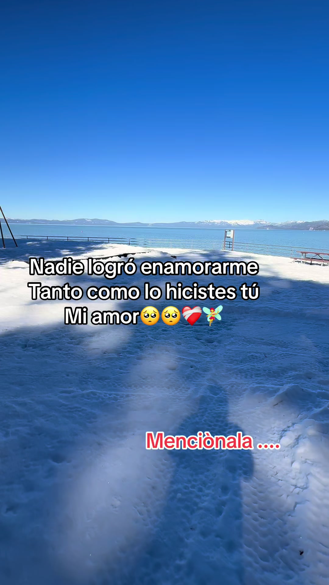 @SoyLionardo_R🐻❤️&zwj;🩹