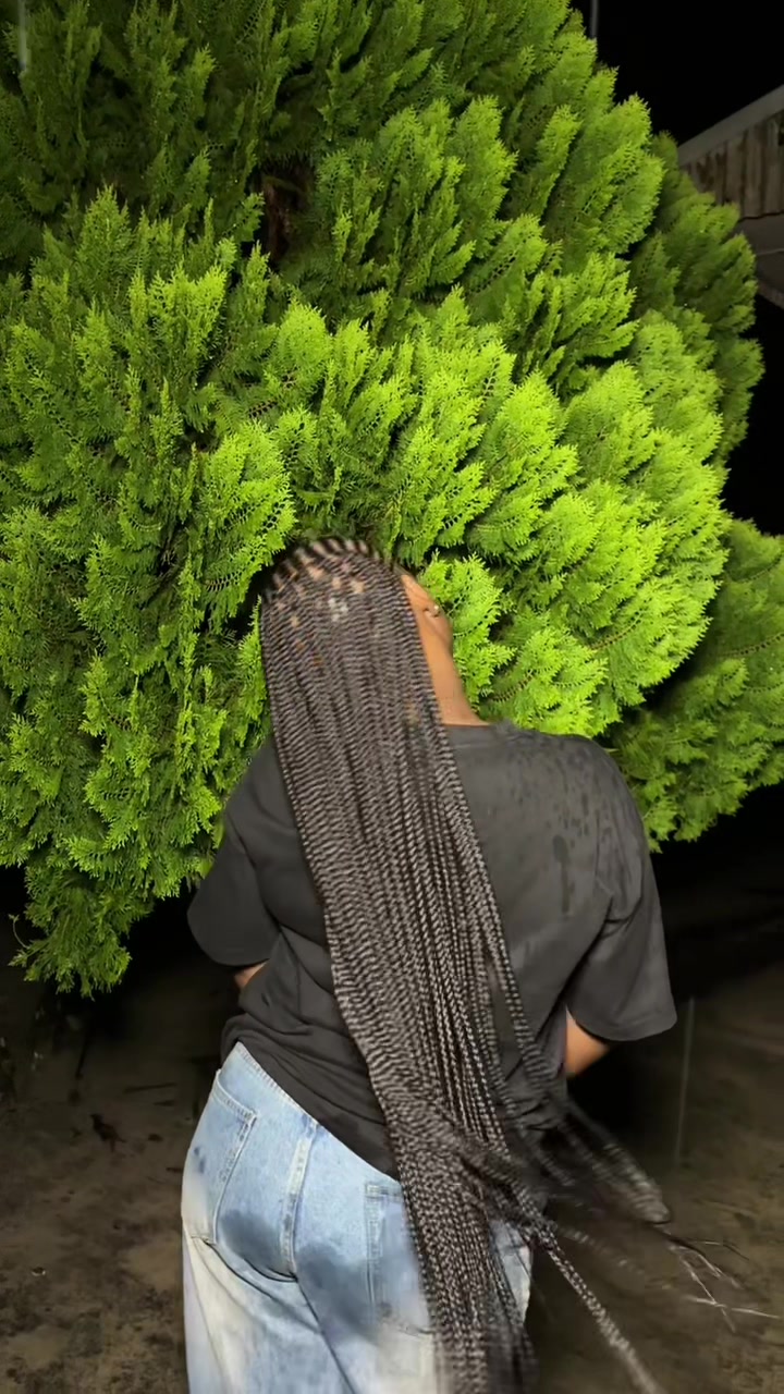 @Nifas_braids_artistry