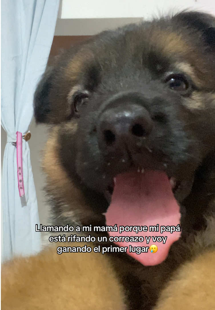 @V A L E N T I N A