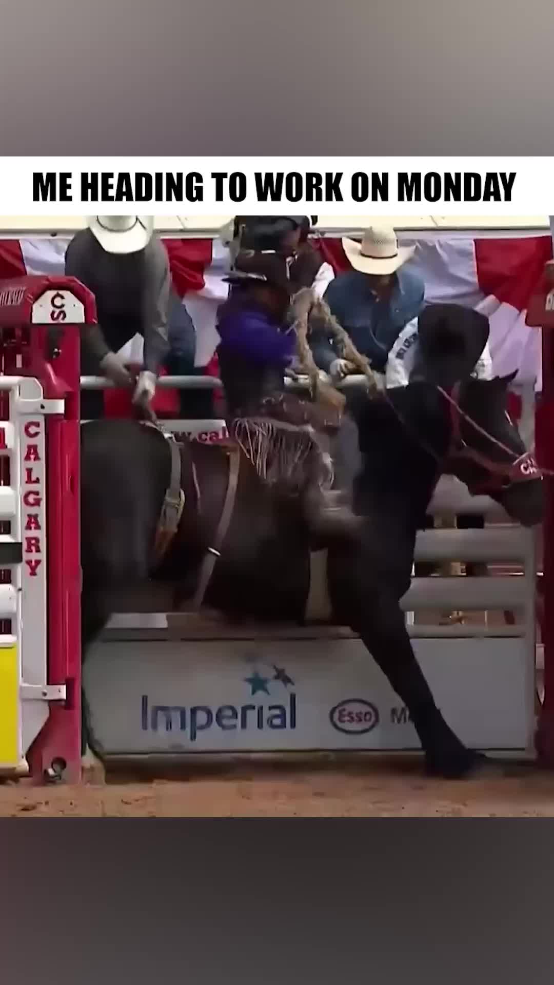 @cowboy_plus