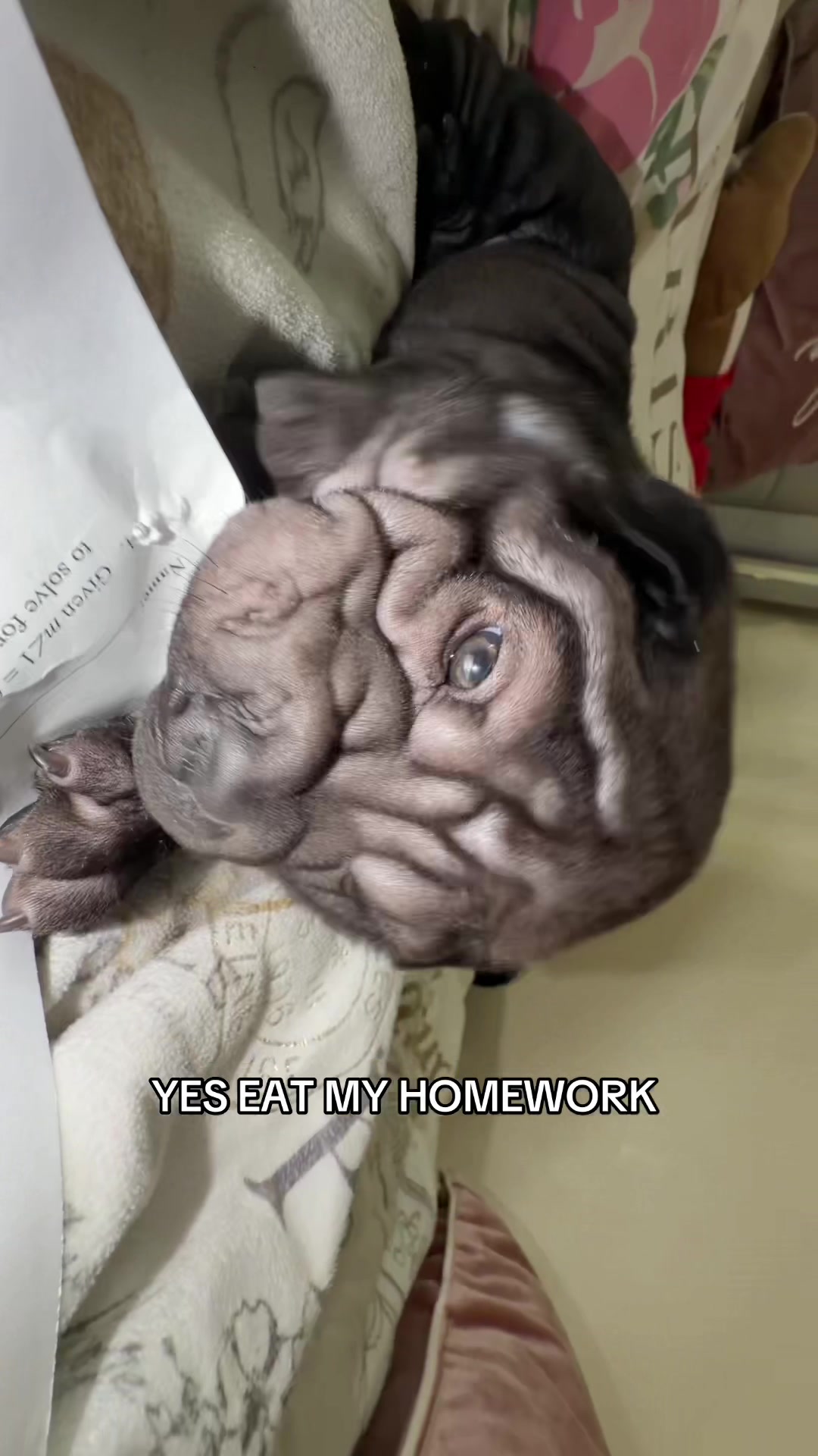 @█████████