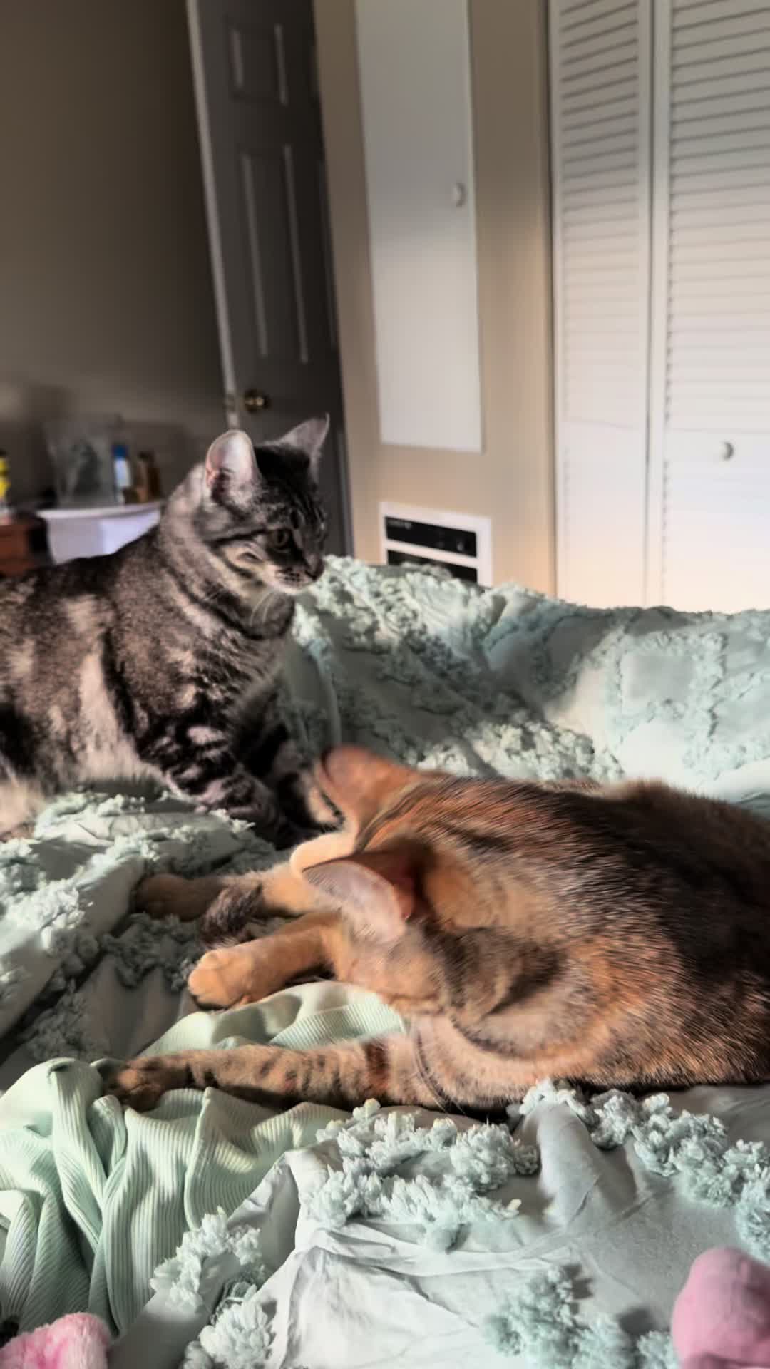 @KrazyKatz
