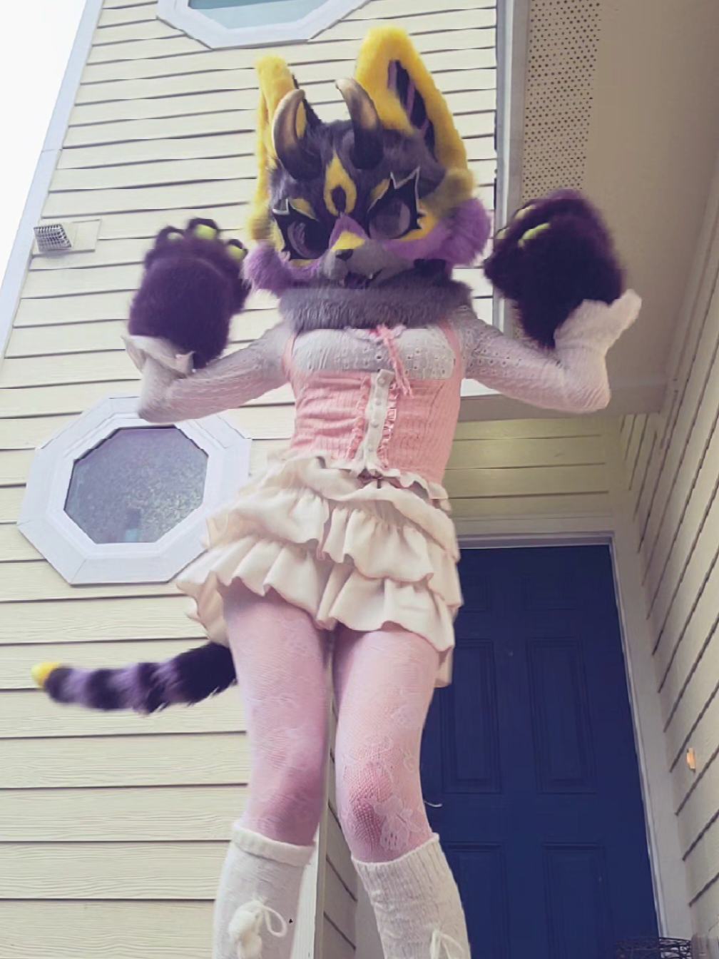 @˖°SmittenKitten⋆˚