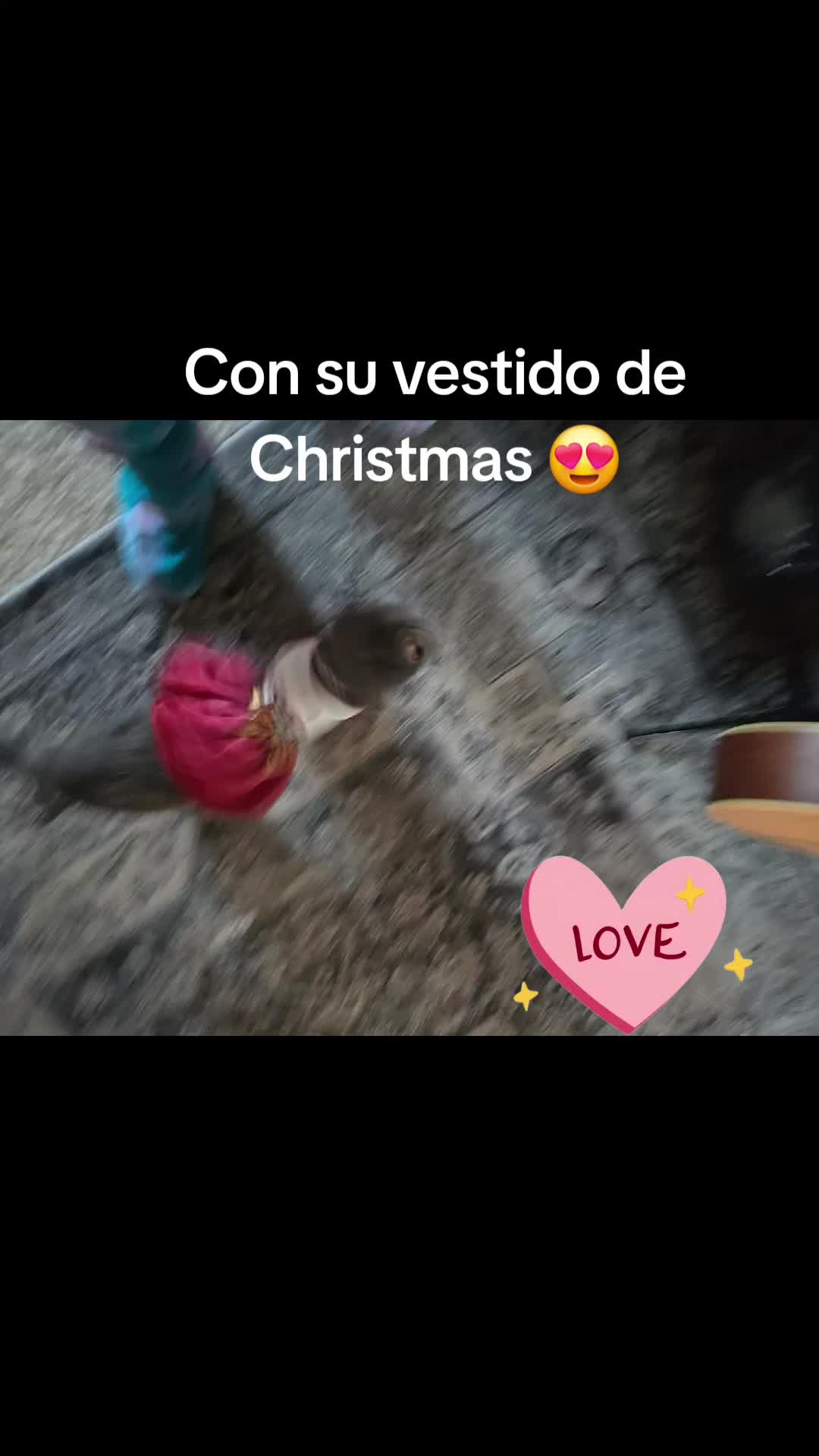 @rosariomendoza6142