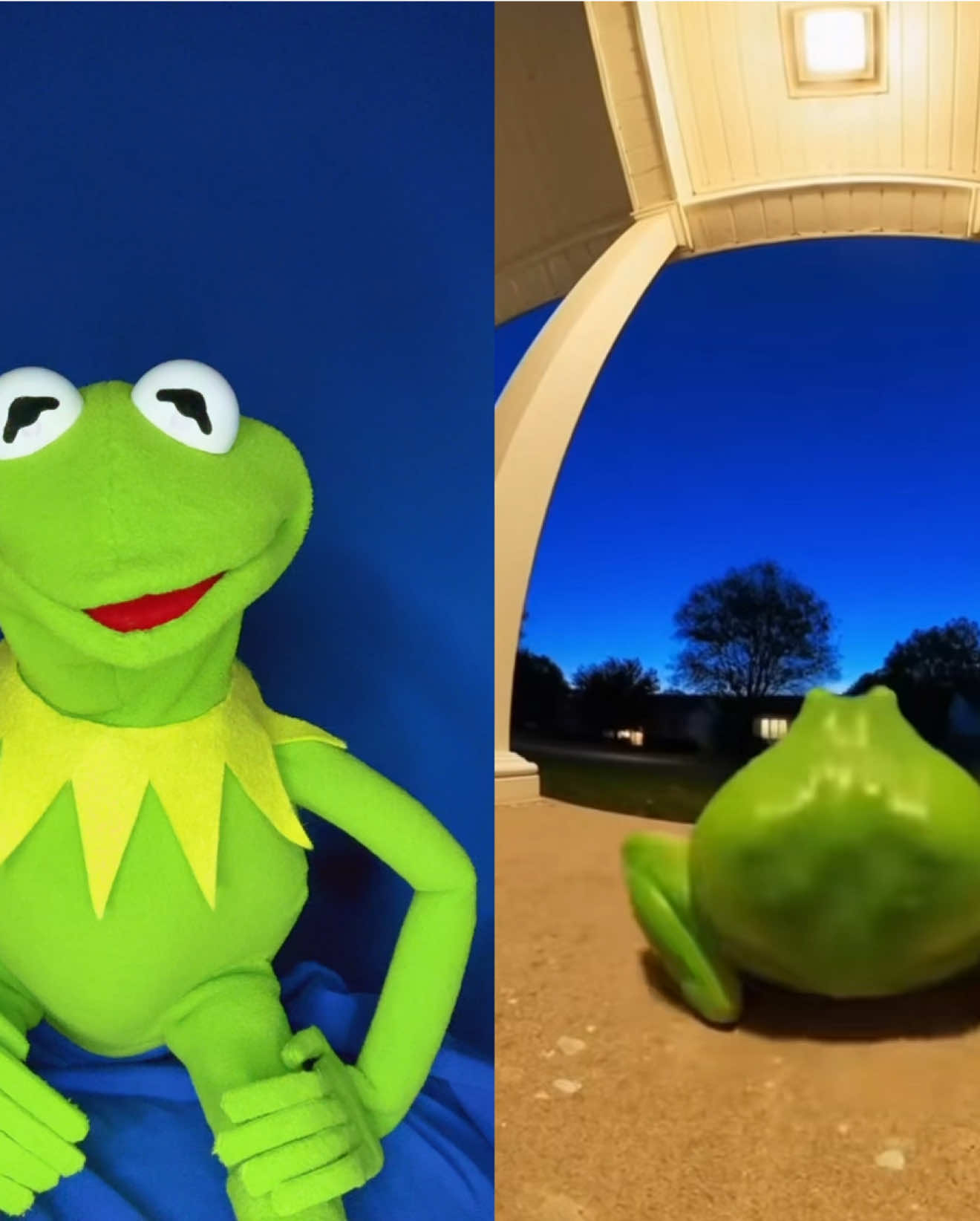@Kermitthepuppet
