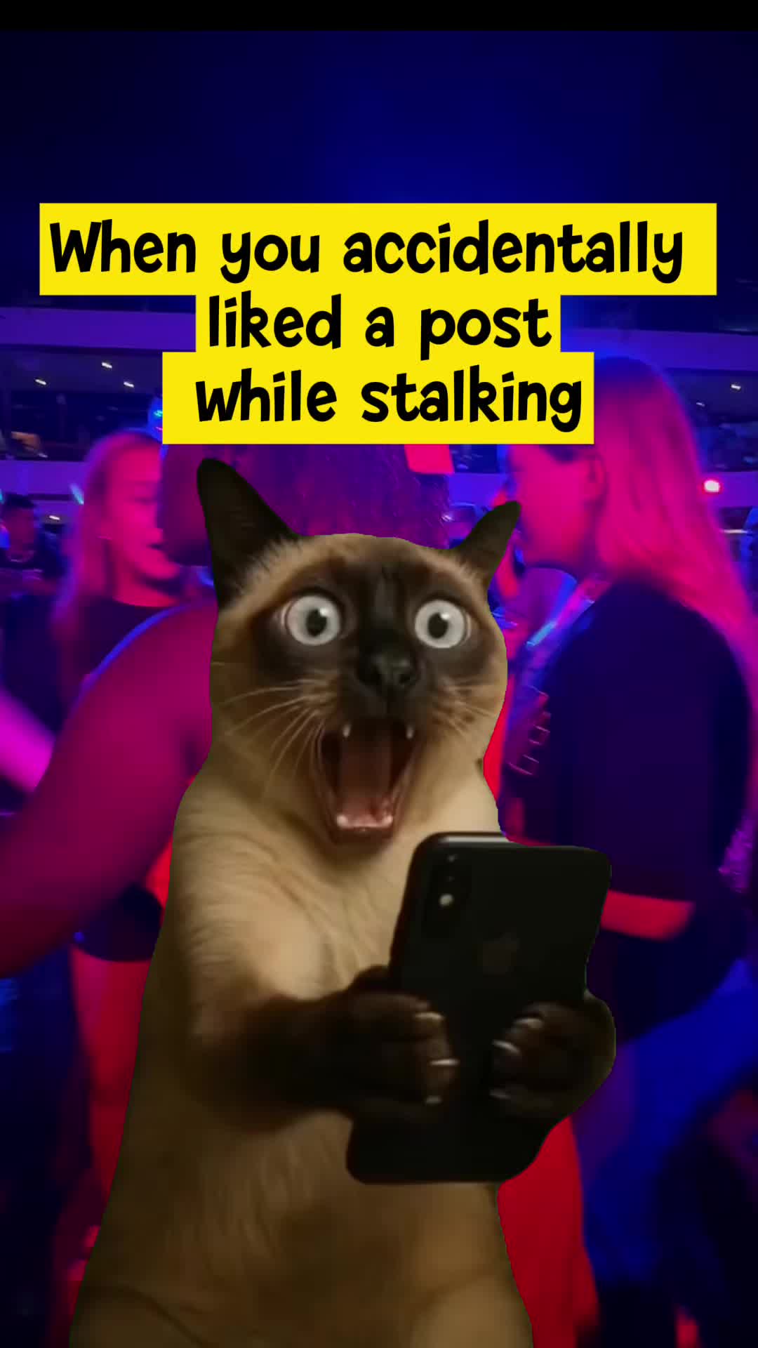 @Margarita