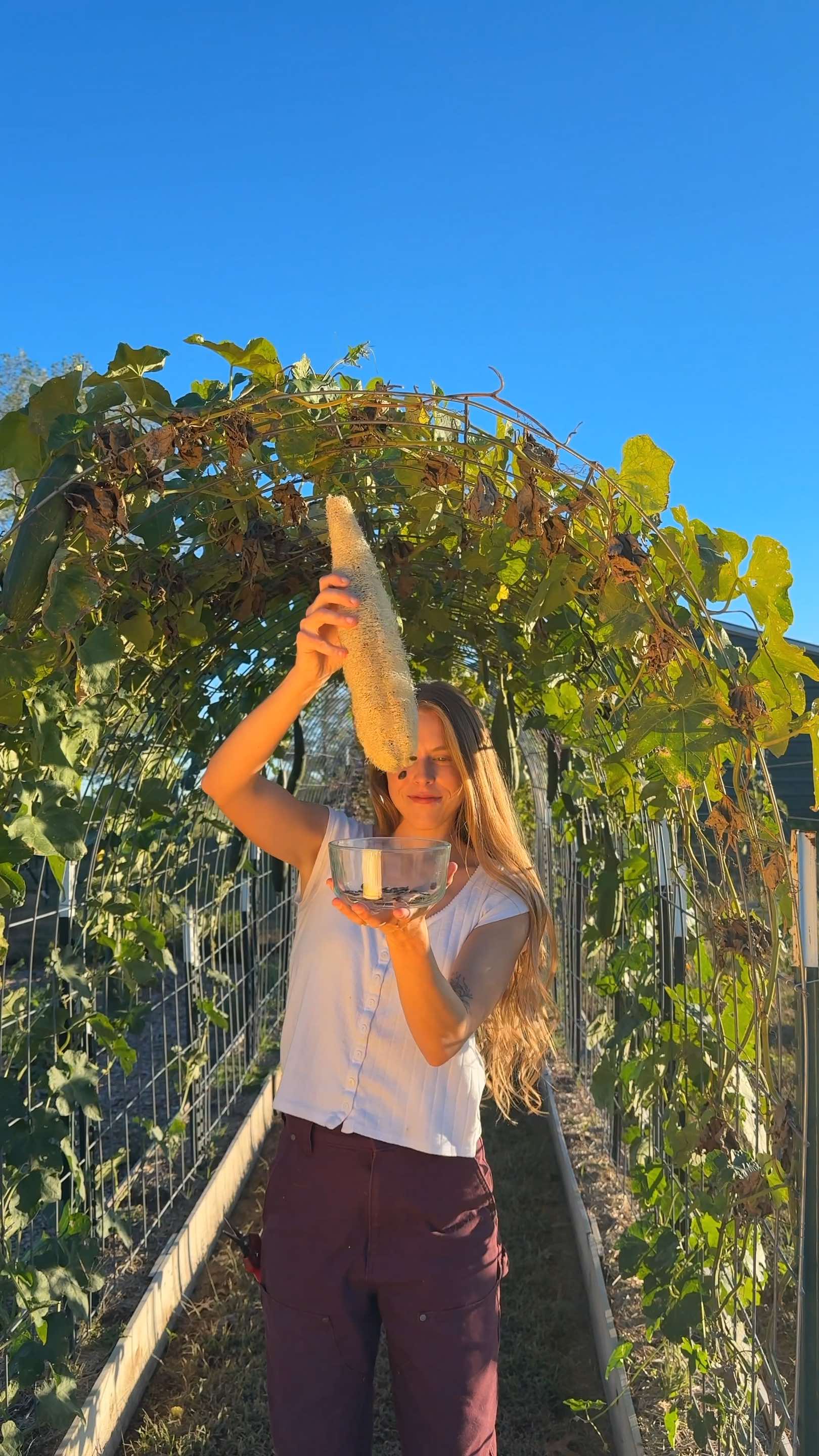 @Itsbreellis