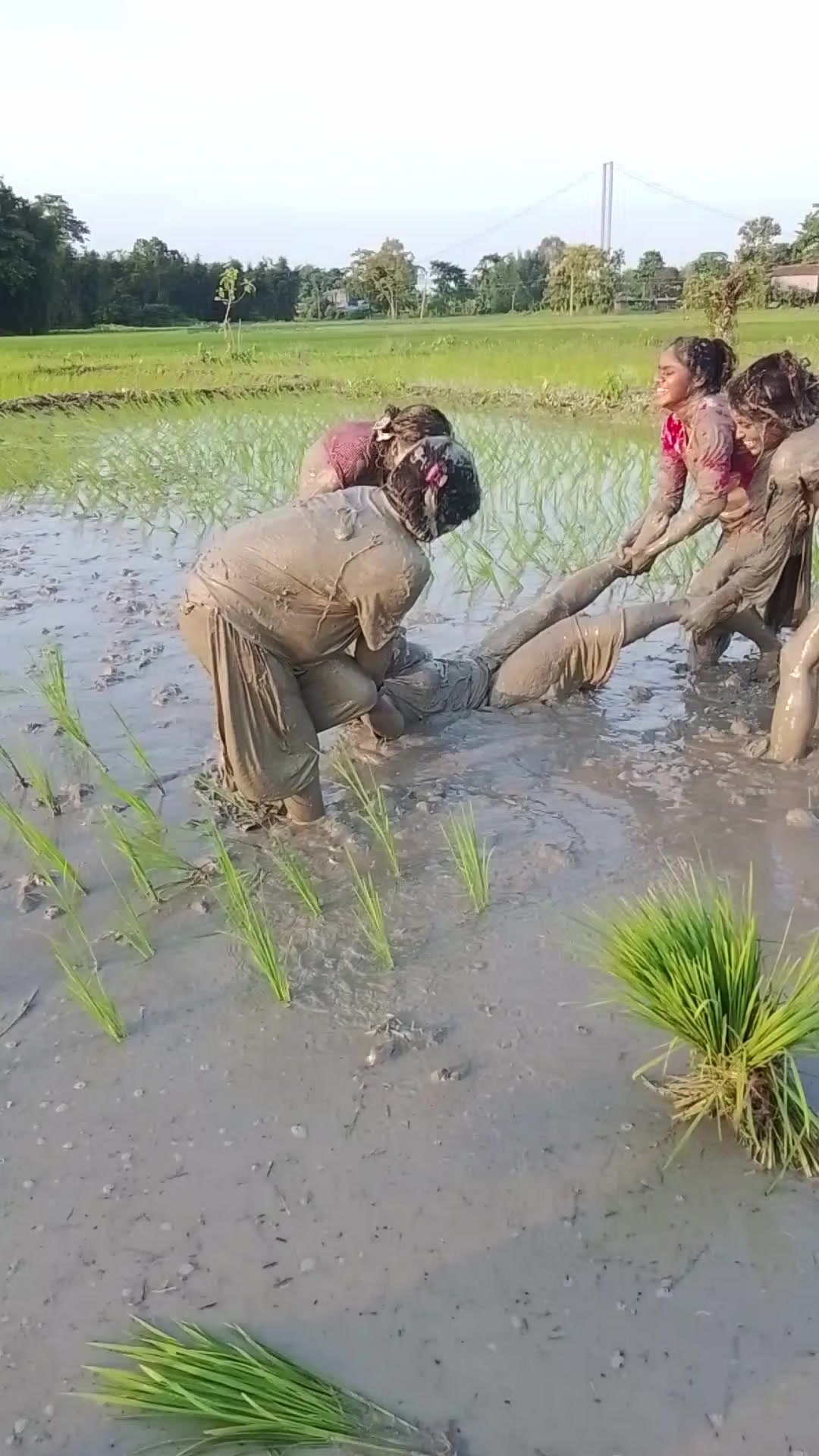 @Rupa Paswan