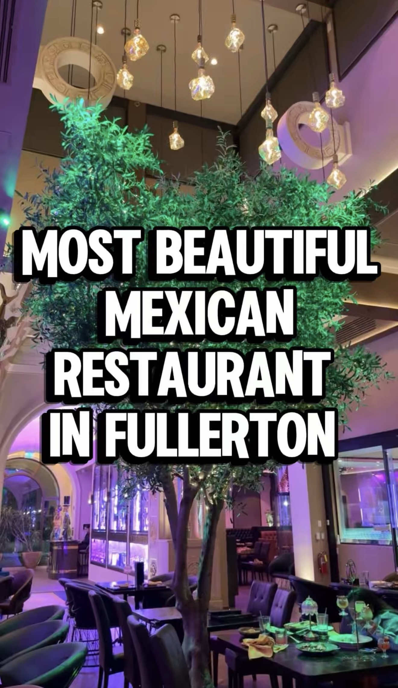 @The Tasty Foods