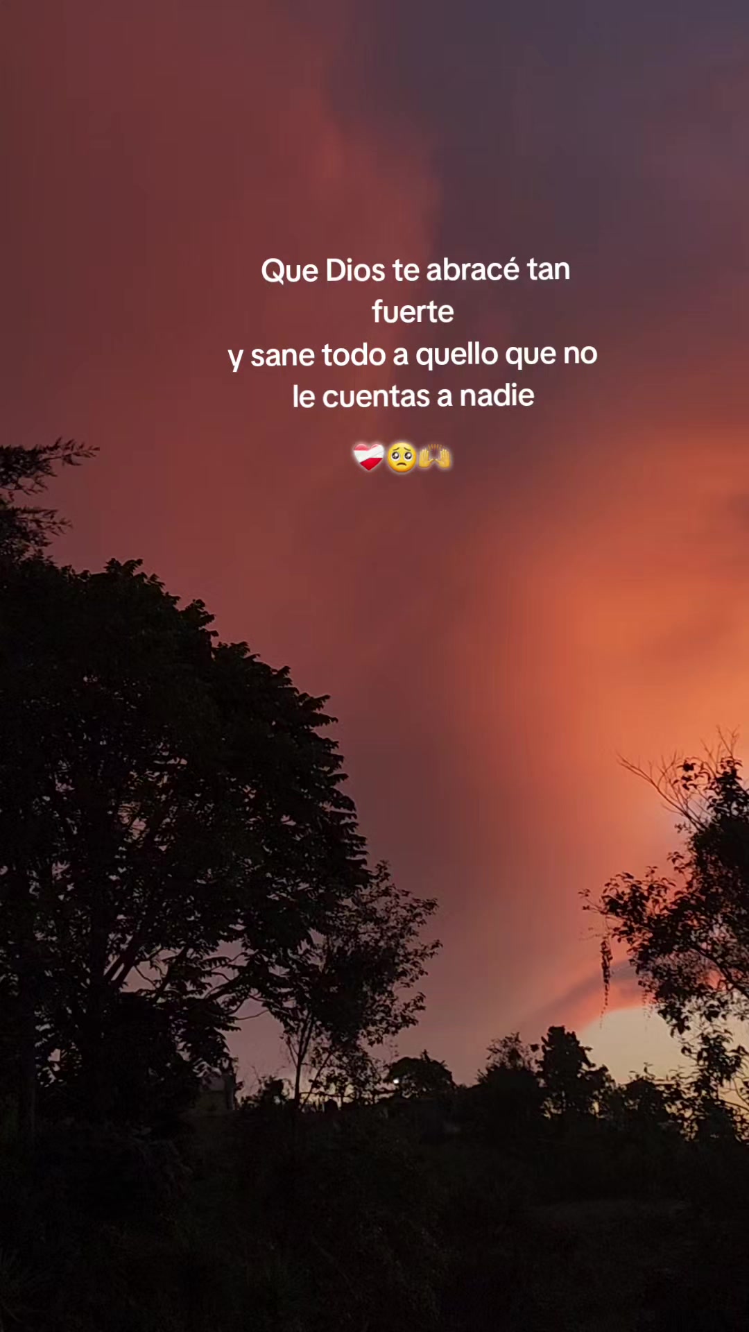 @🤍🌷Sucely🌷👑