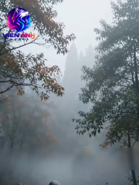 @Mỹ Hồng
