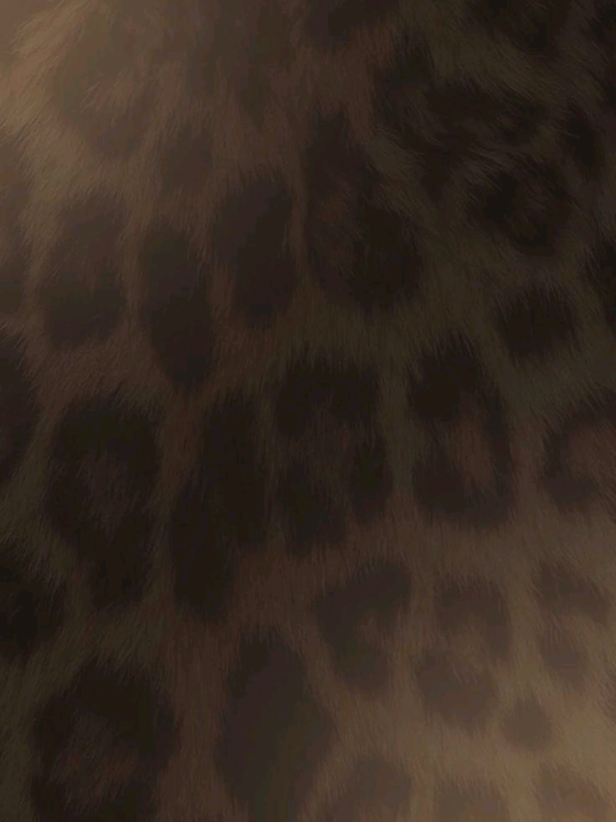 @𖤝𝓐𝓎𝒂𝒌𝒐.ᐟ🤍