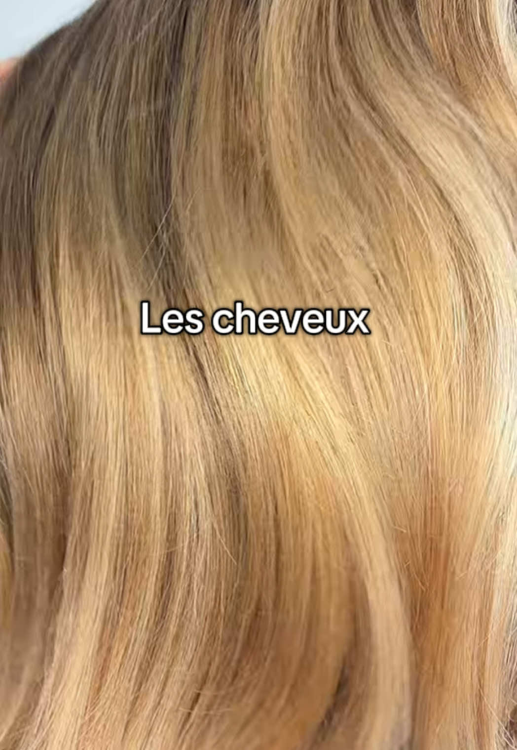 @clotildehairstylist