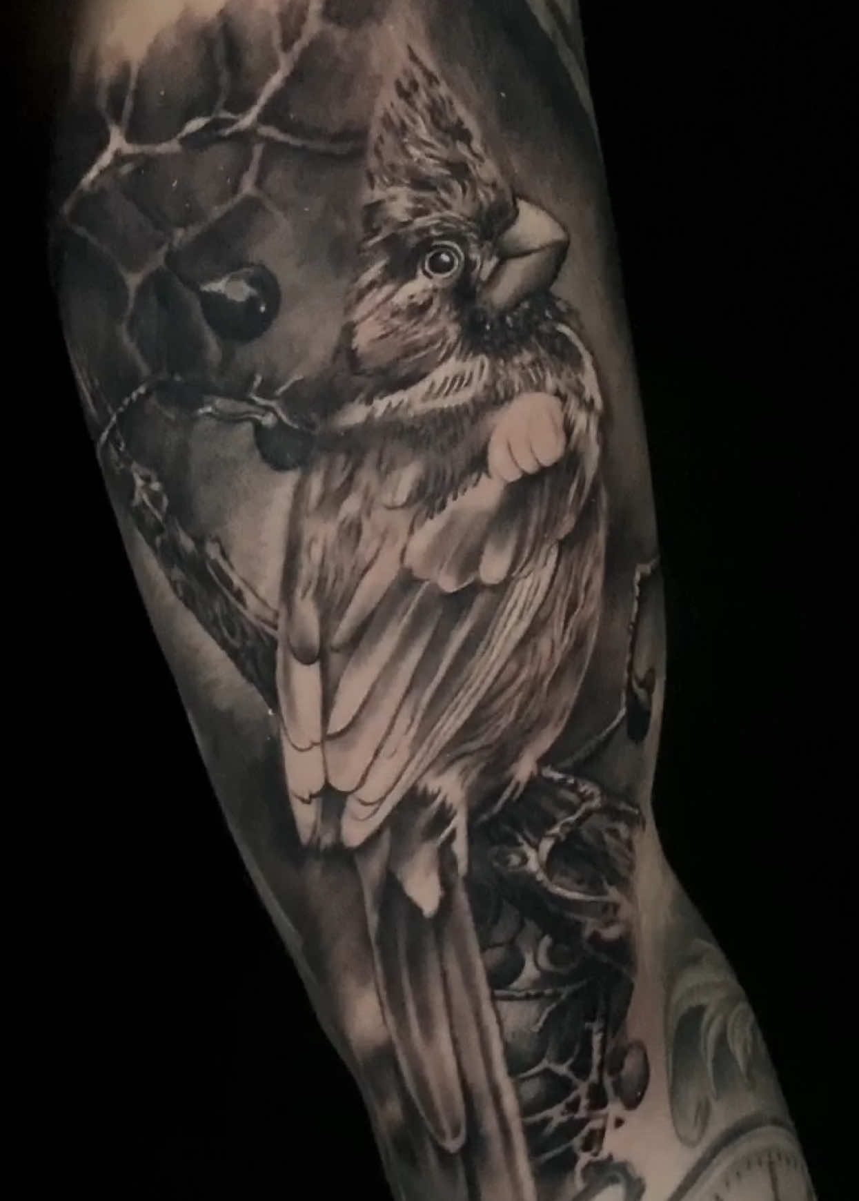 @blackhiveink