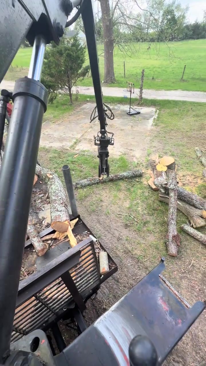 @Buzzsawtrees
