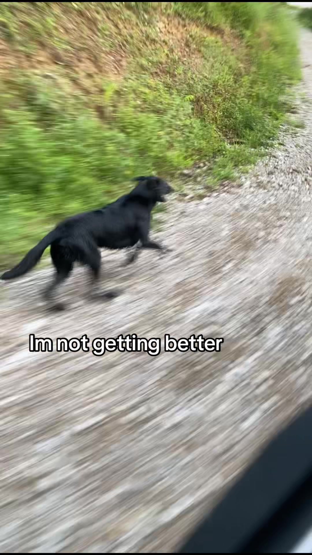 @em